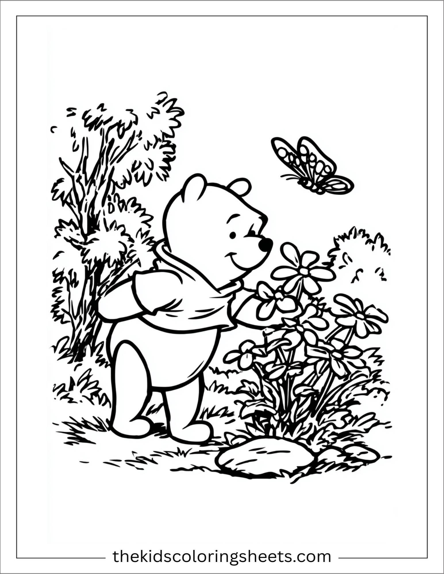 The Bear looking at butterfly