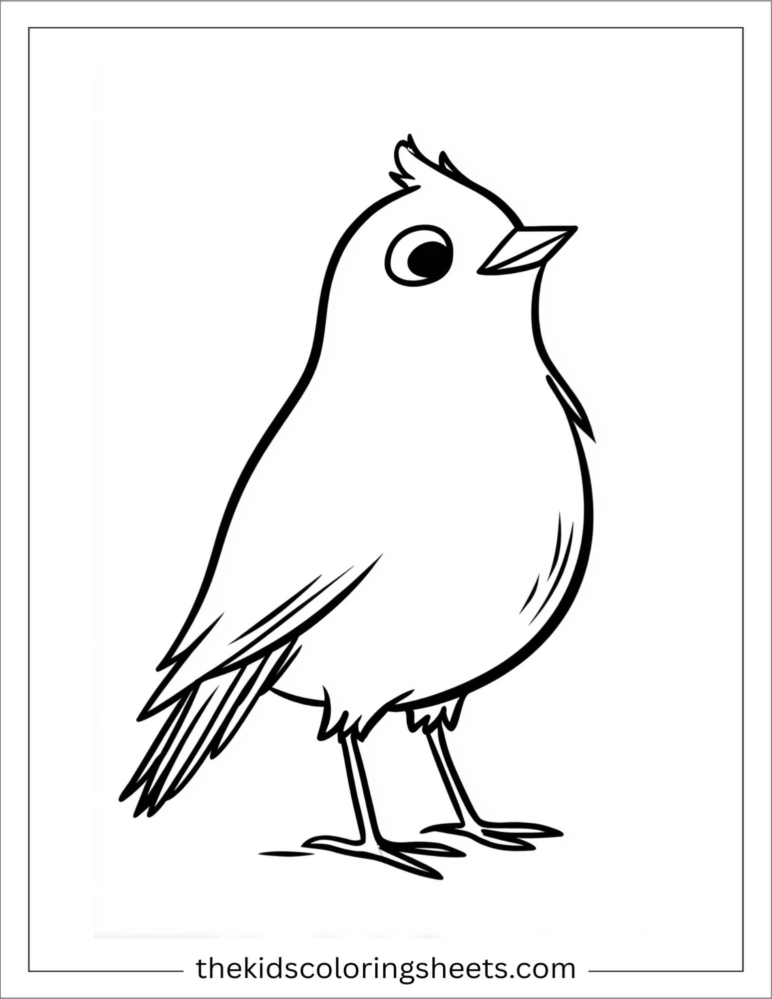 Bird looking curious