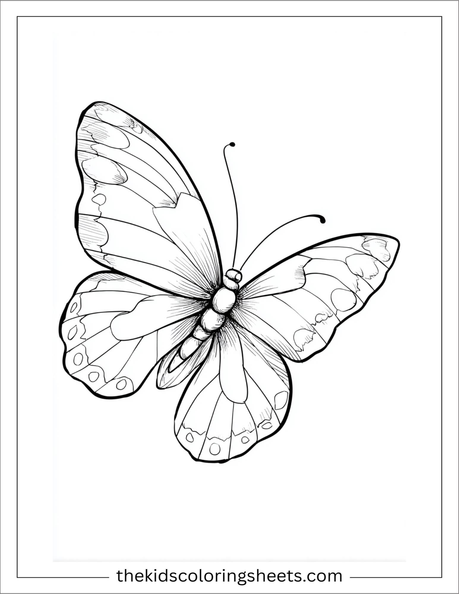 Butterfly flying freely