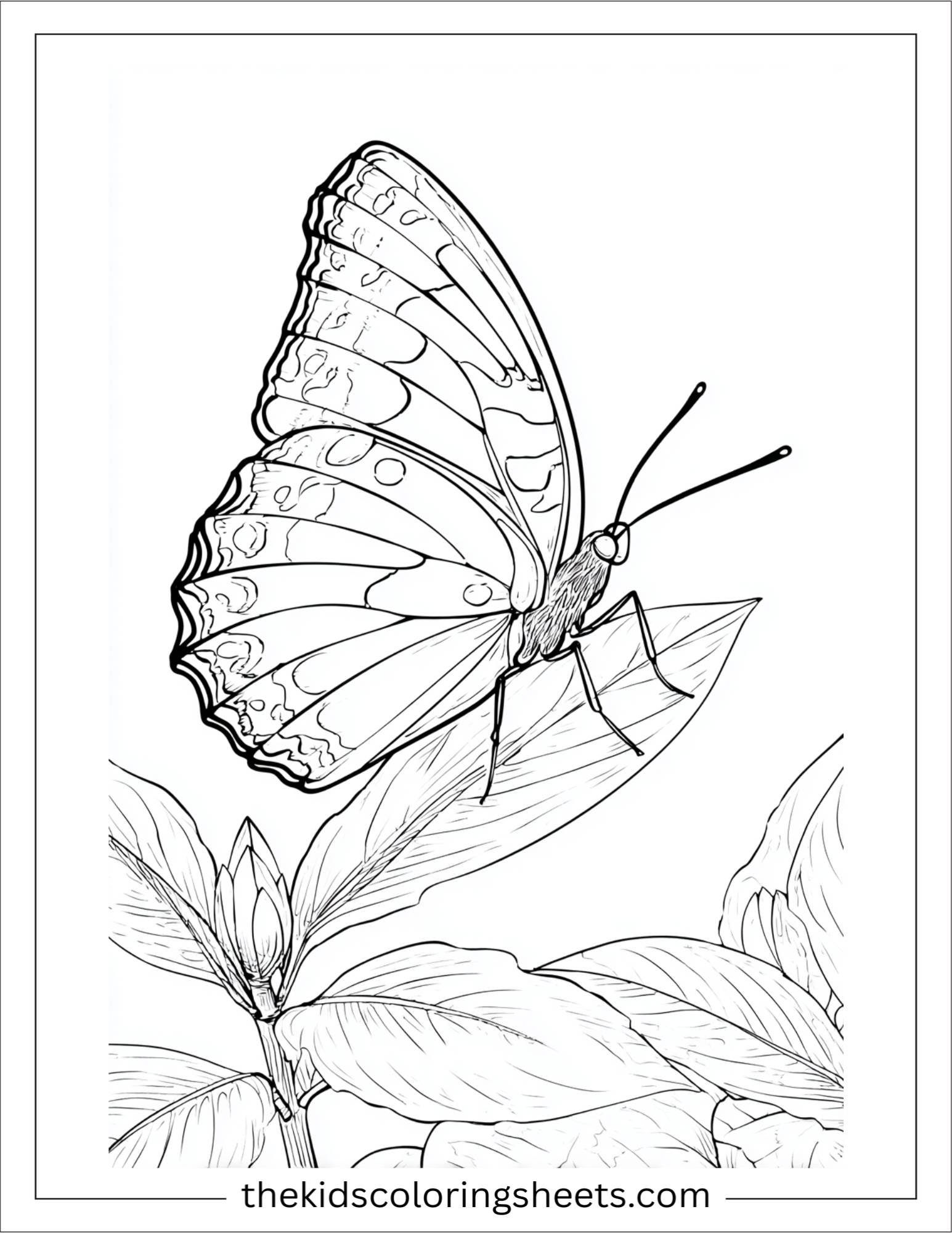 Butterfly resting on a leaf