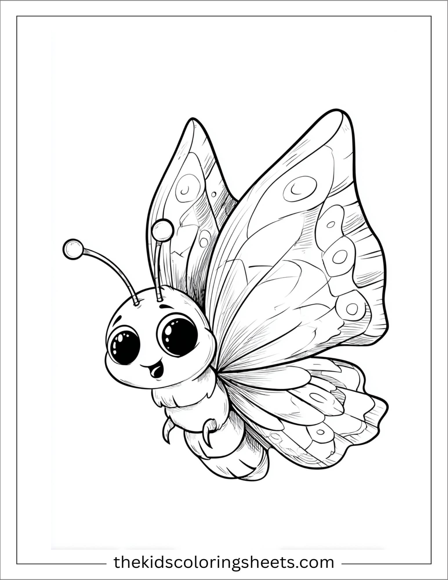 Butterfly showing off wings