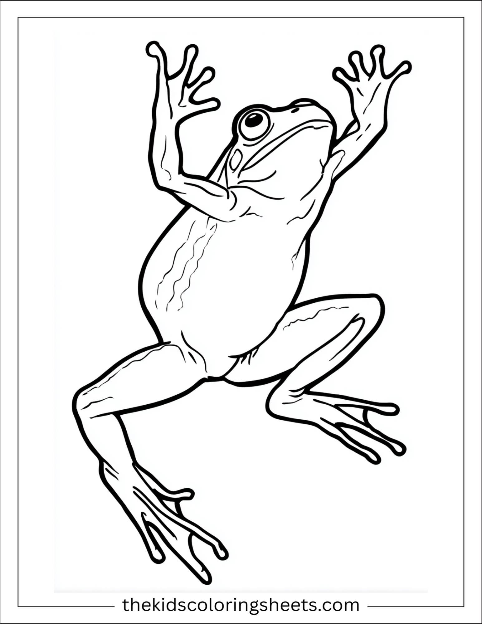 Frog jumping joyfully