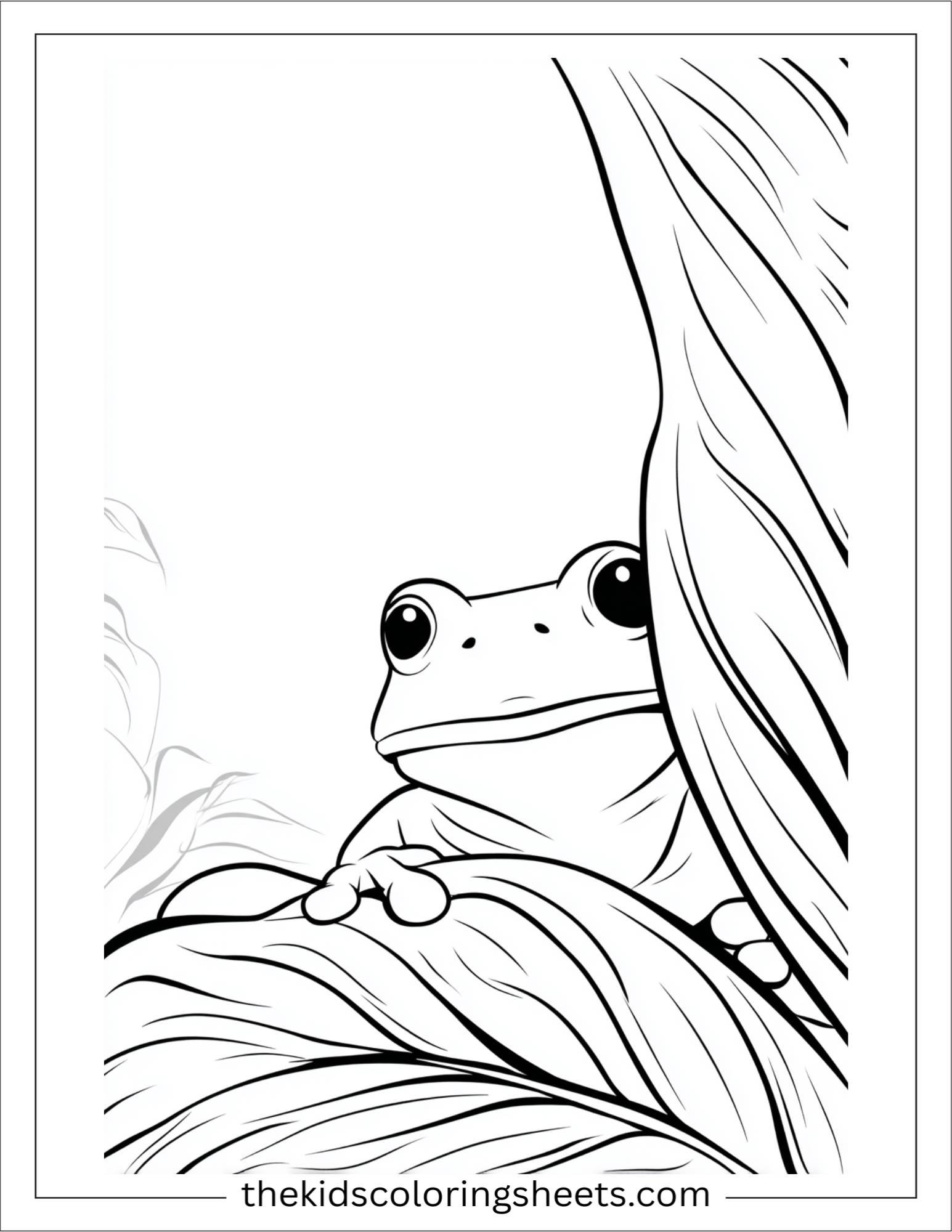 Frog playing hide and seek