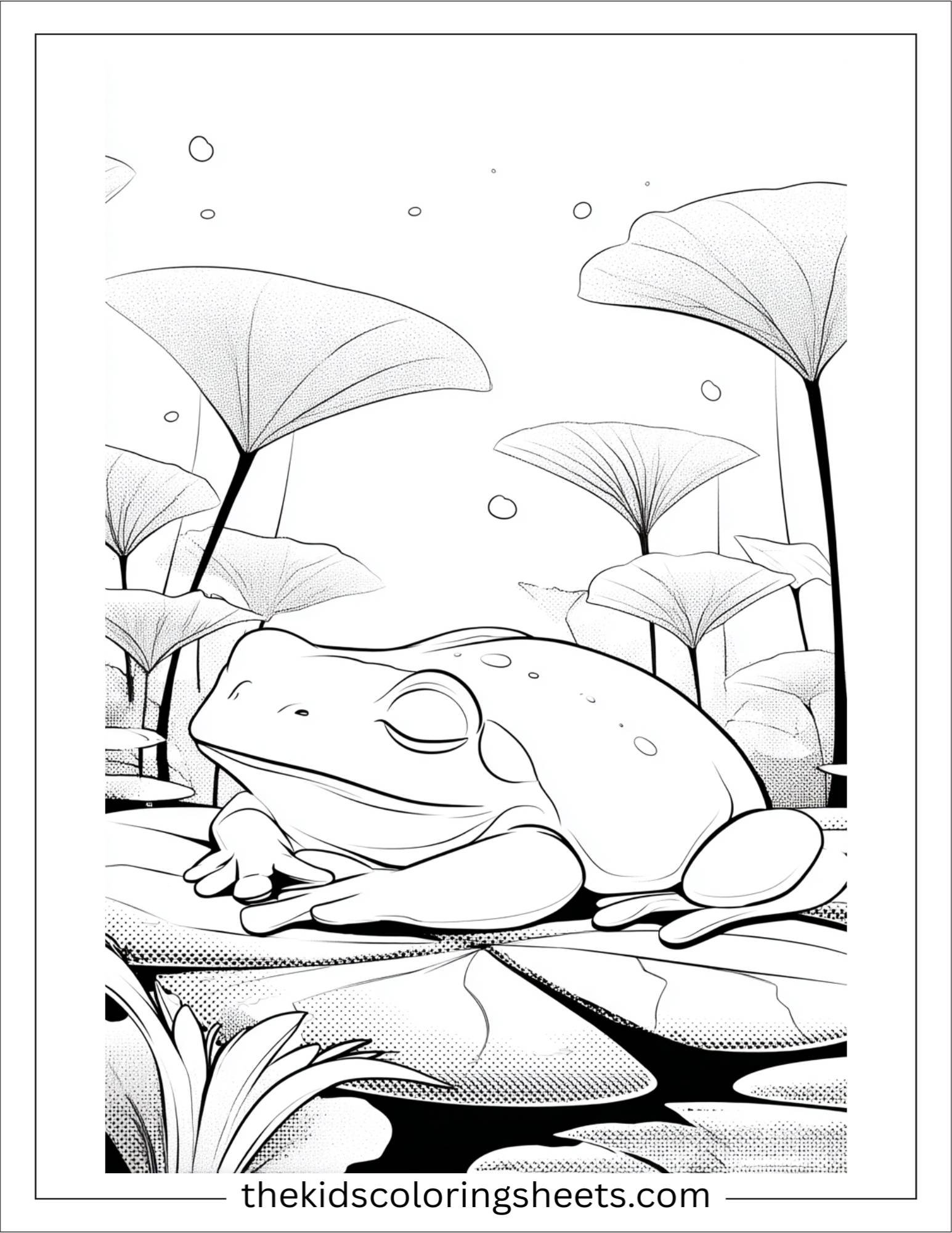 Frog sleeping peacefully