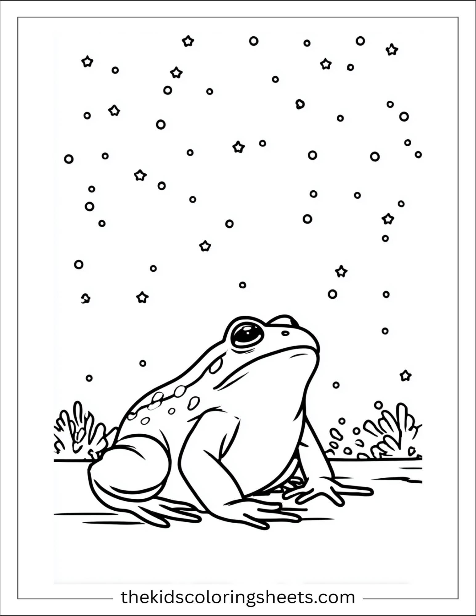 Frog watching stars