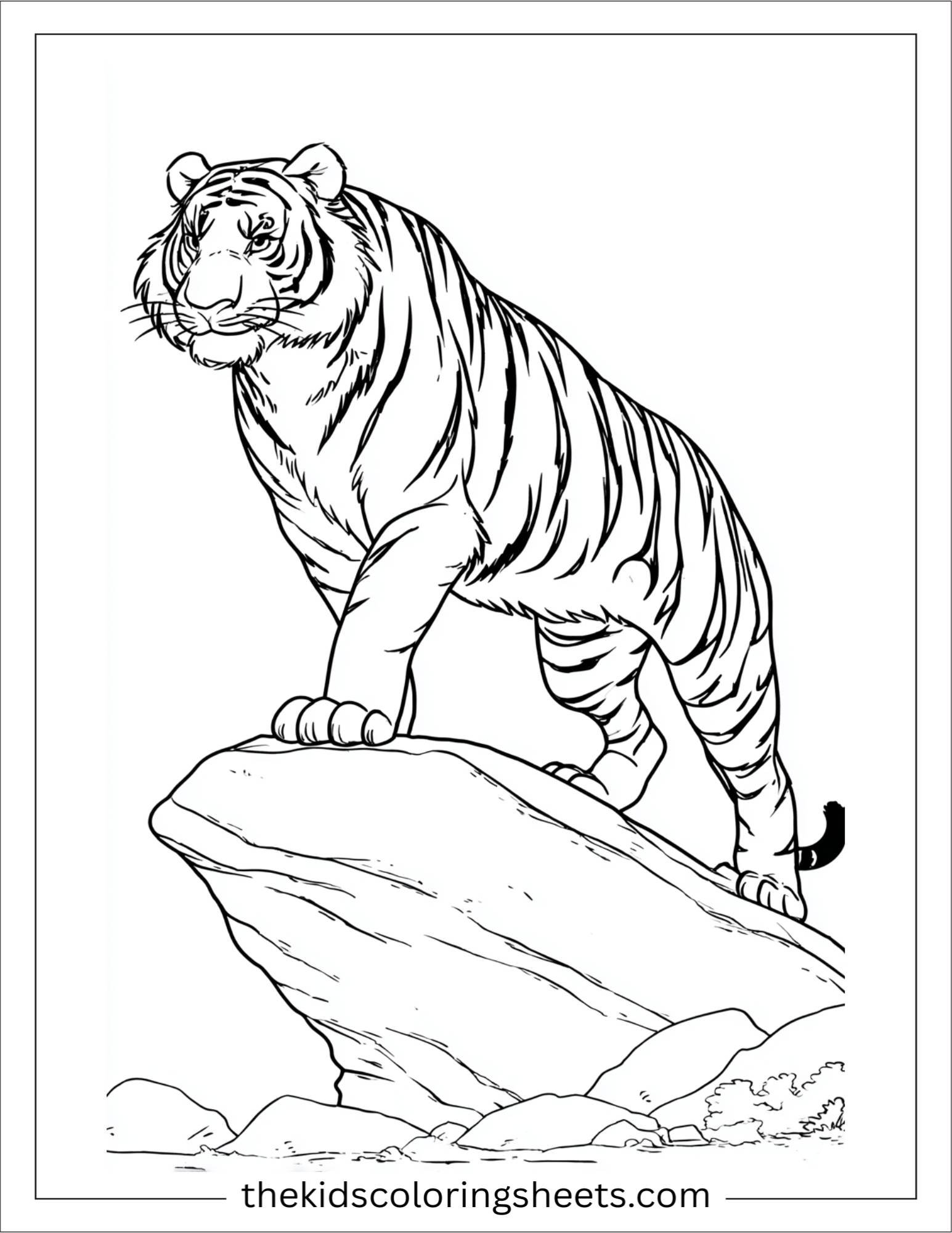 Sher Khan, the tiger, balancing on rock
