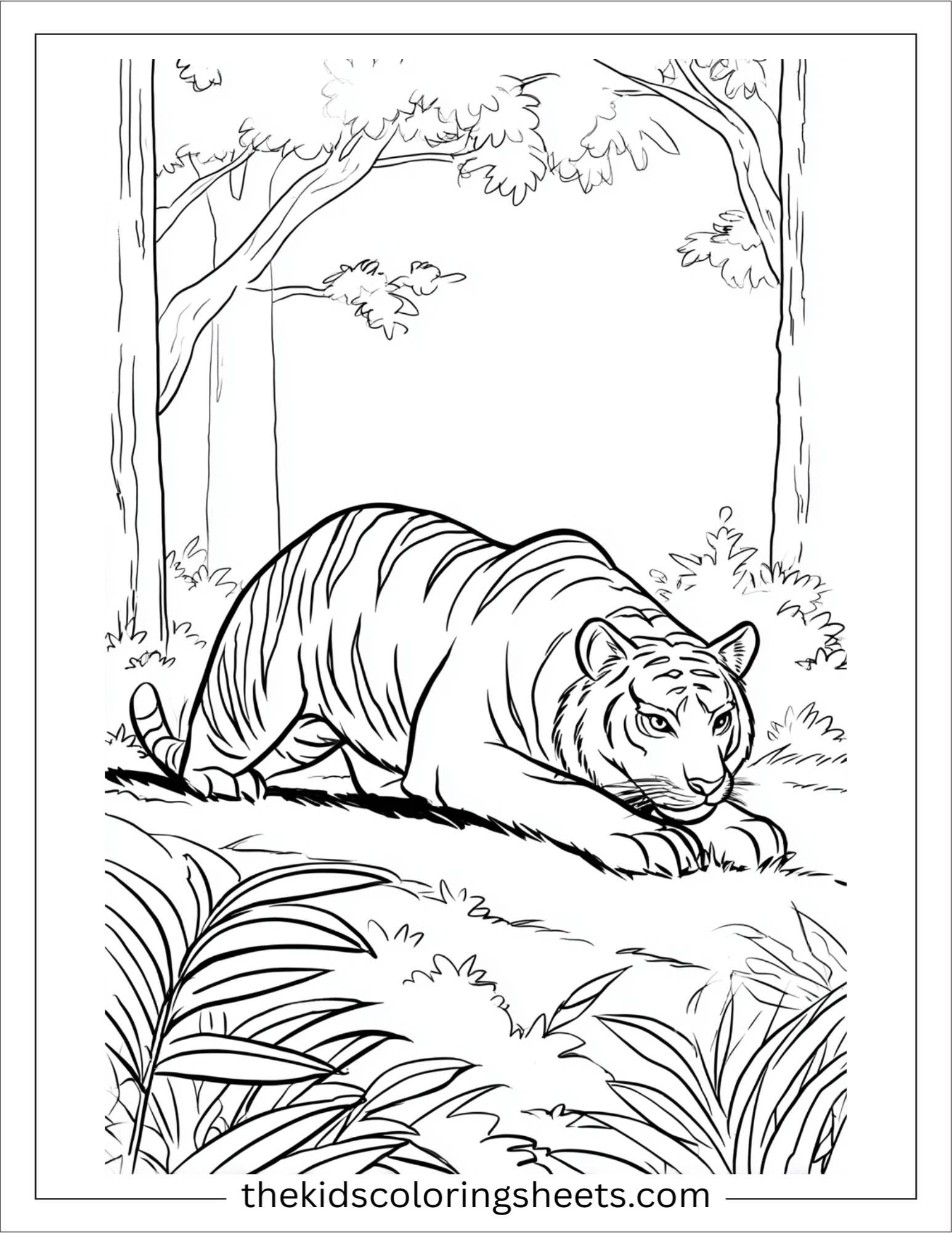 Sher Khan, the tiger, crouching to pounce