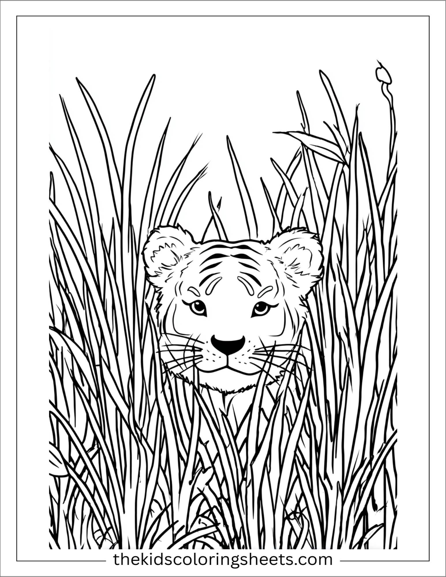 Sher Khan, the tiger, hiding in tall grass