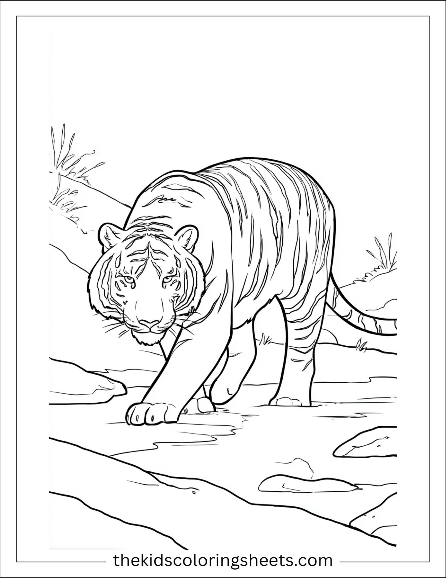 Sher Khan, the tiger, hunting quietly