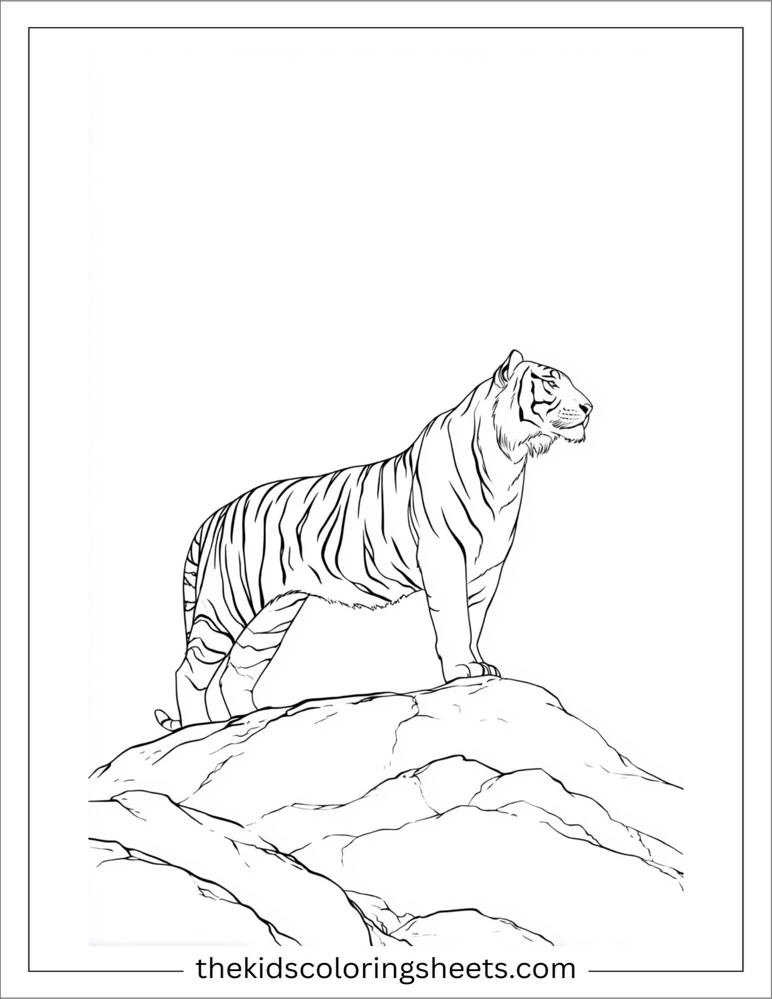 Sher Khan, the tiger, standing majestically