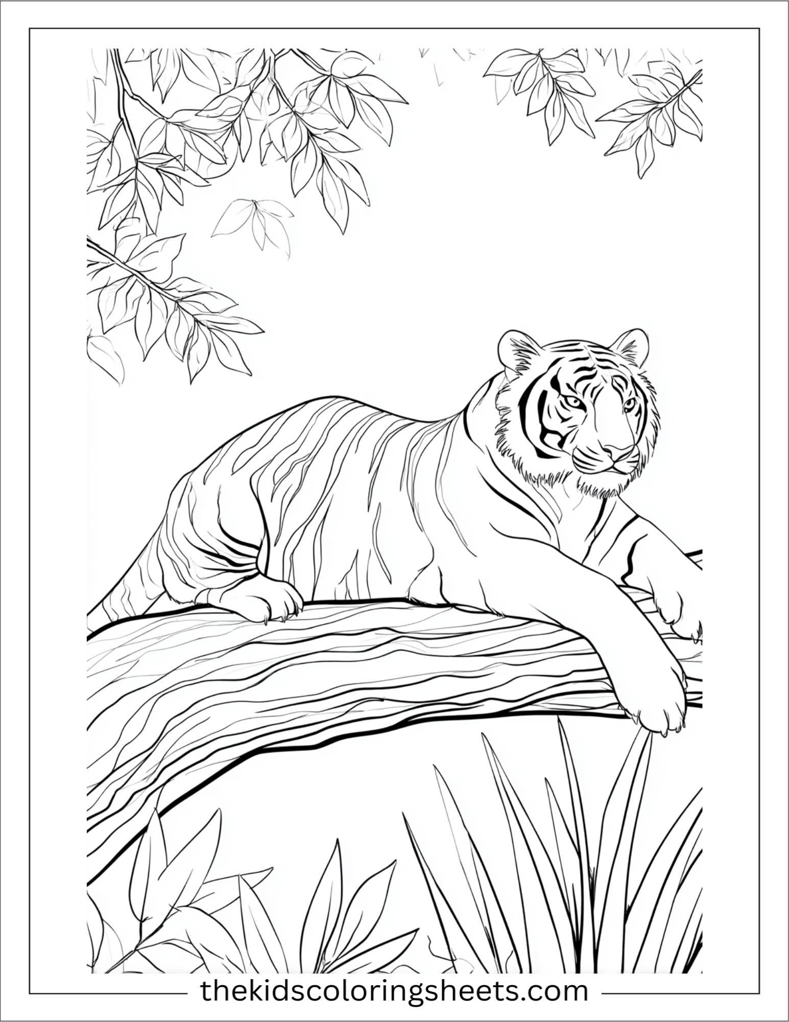 Sher Khan, the tiger, stretching lazily