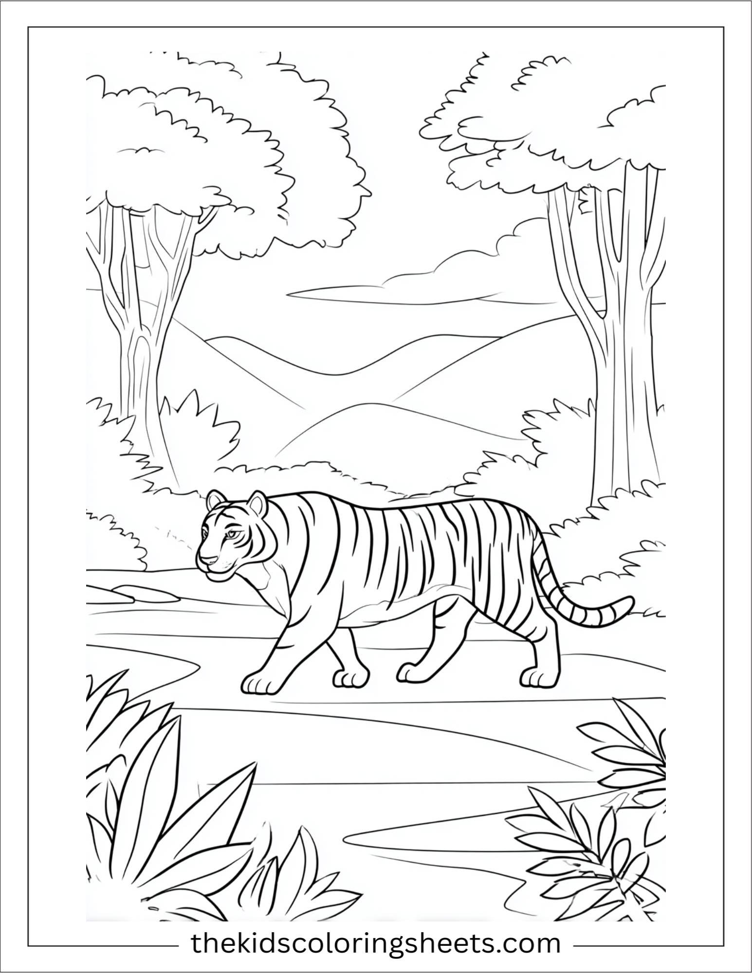 Sher Khan, the tiger, walking through jungle