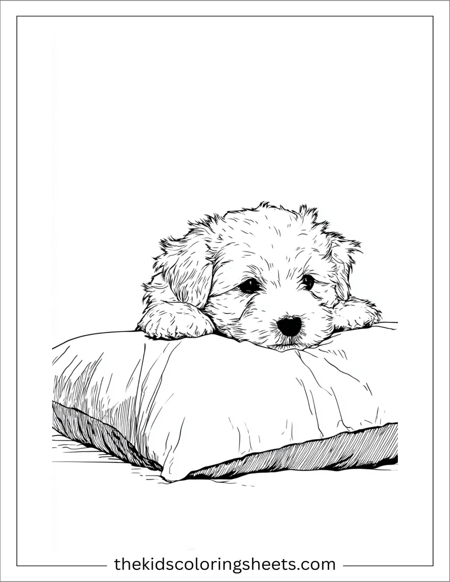 Sweet puppy hiding behind a pillow