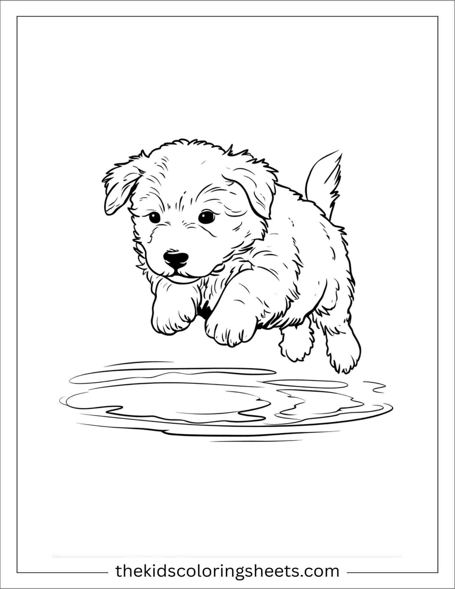 Sweet puppy jumping over a puddle