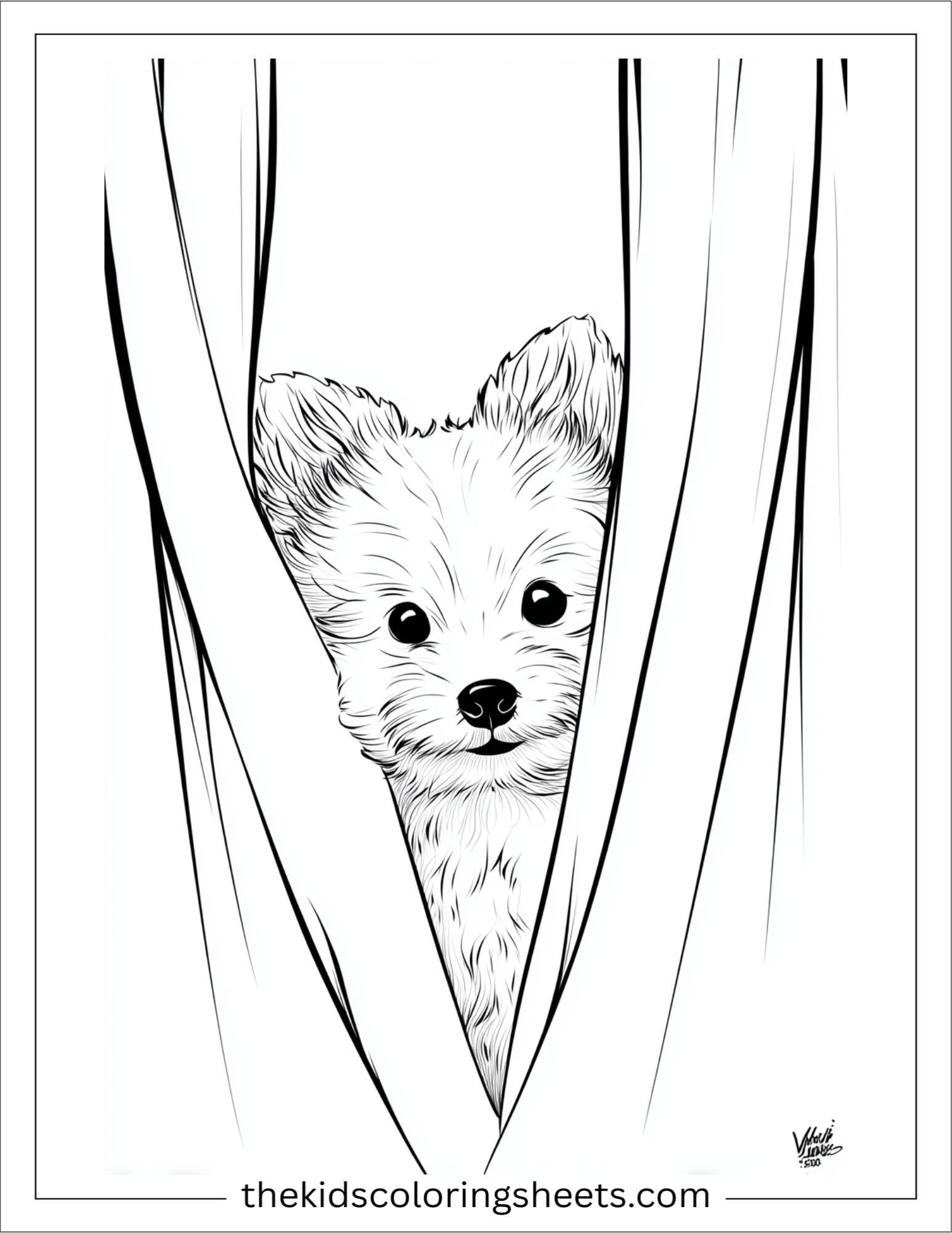 Sweet puppy peeking through curtains