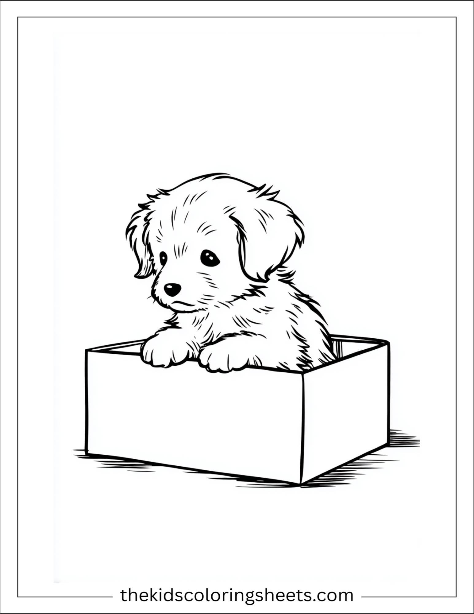 Sweet puppy playing in a box