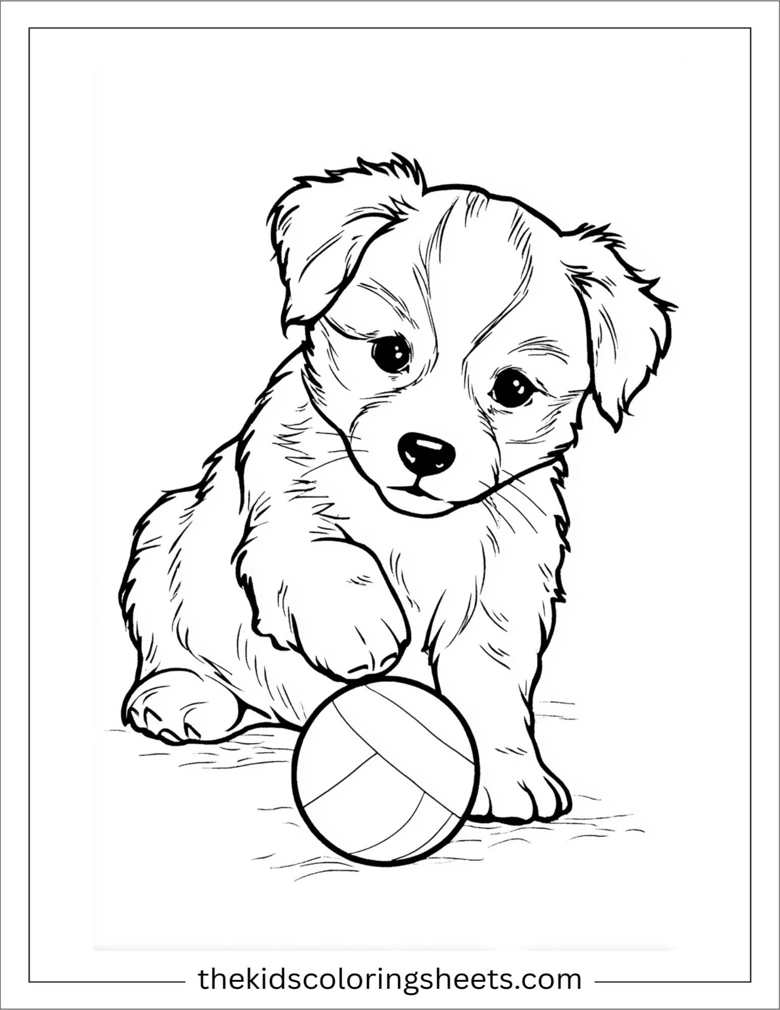 Sweet puppy playing with ball