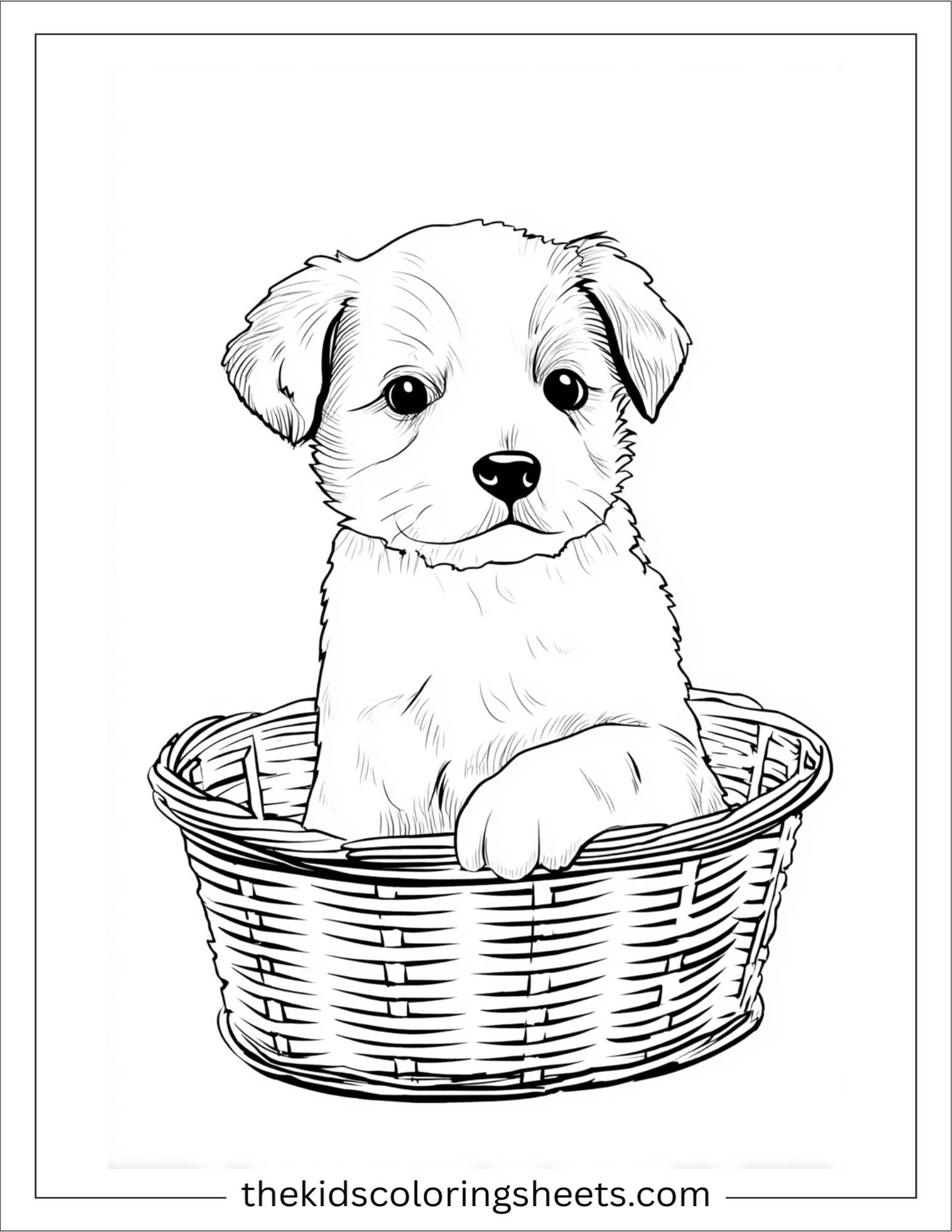 Sweet puppy sitting in a basket
