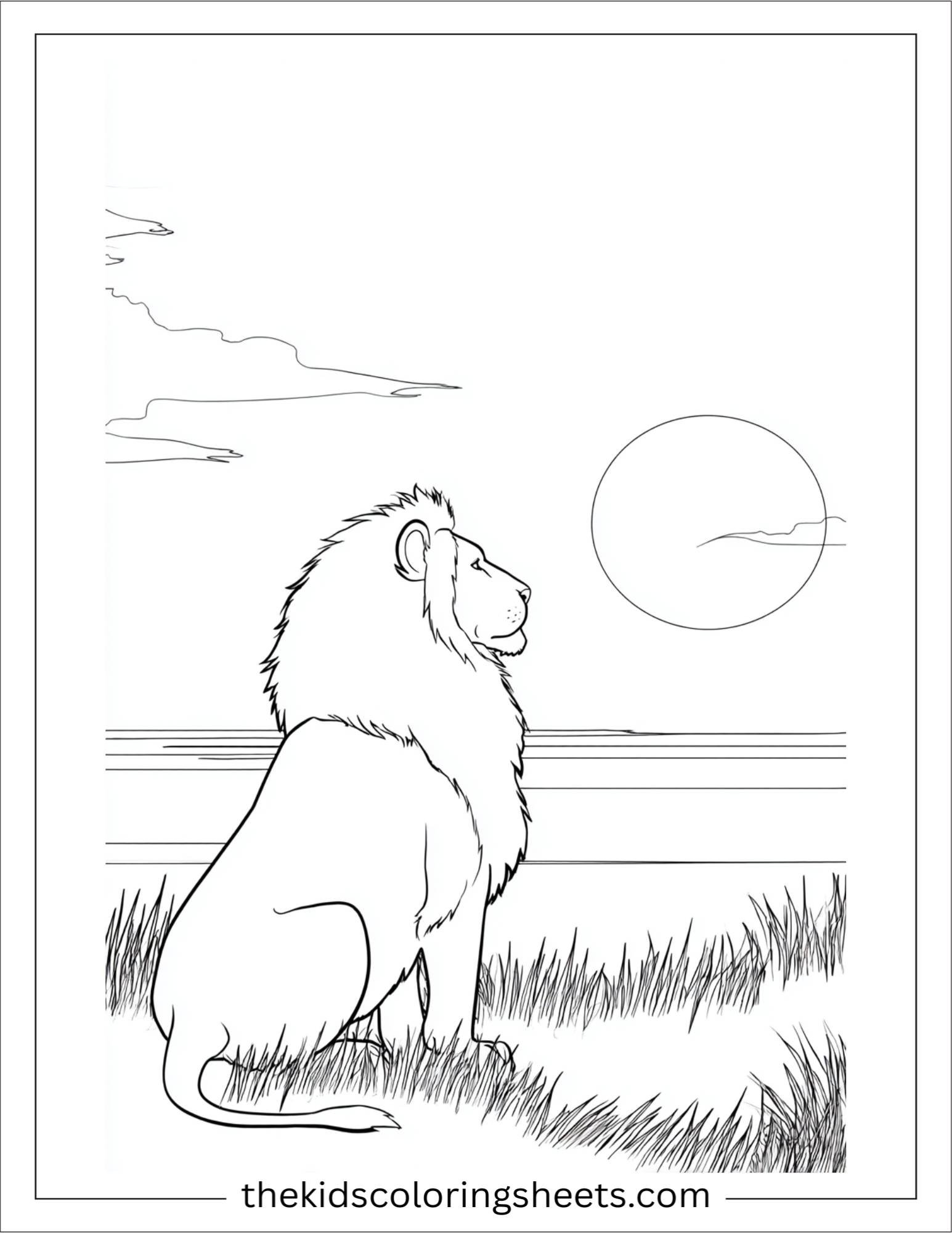 The Brave Lion watching sunset