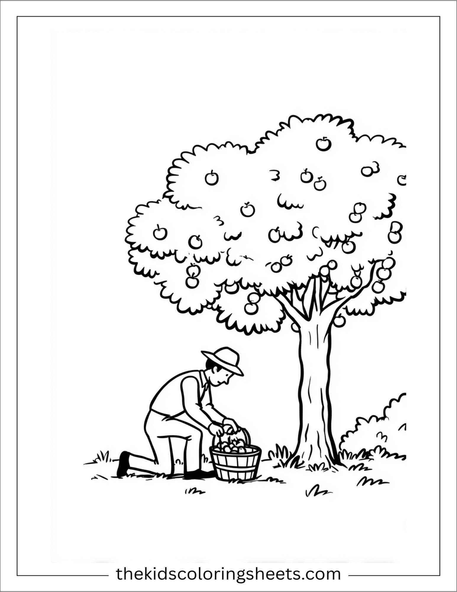 The Farmer picking apples