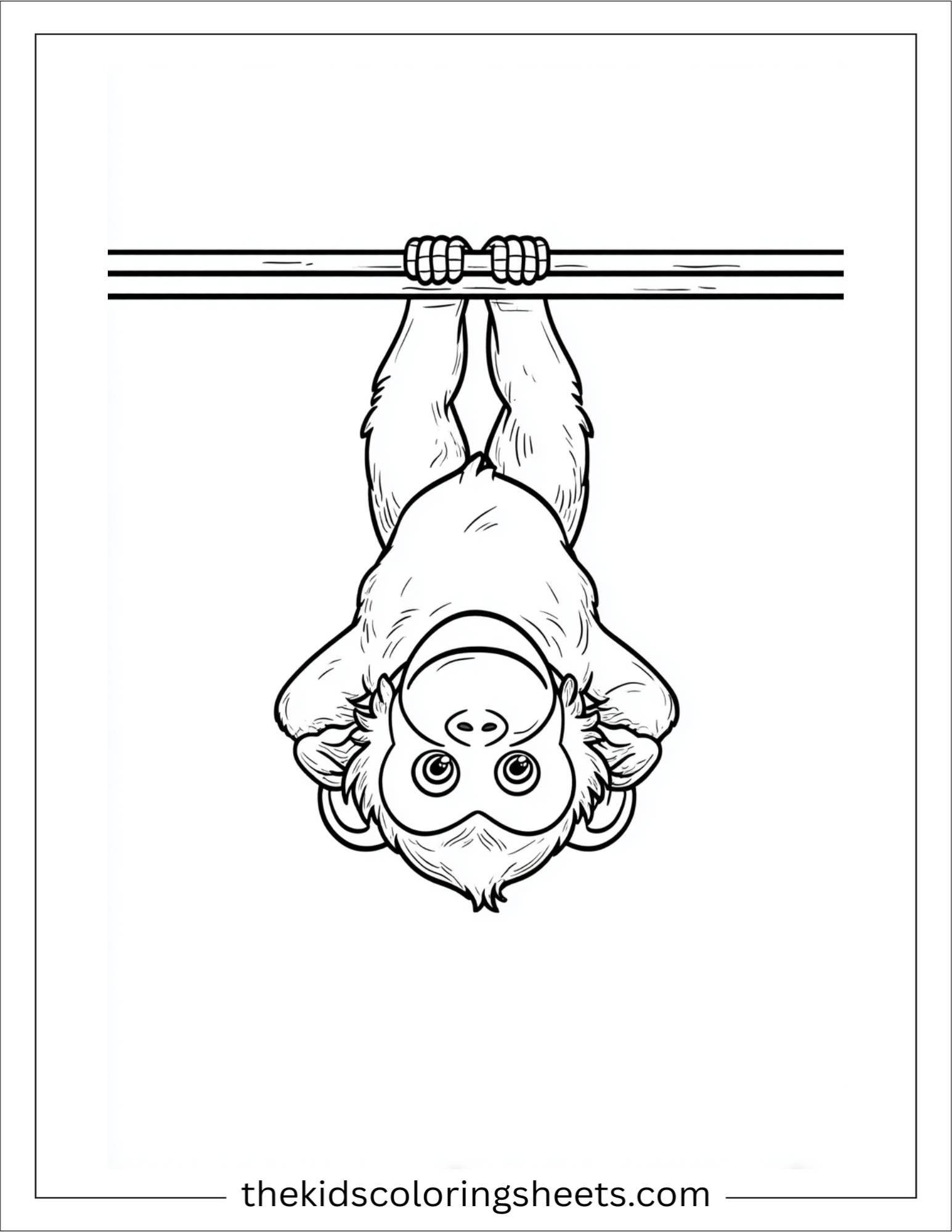 The Monkey hanging upside down
