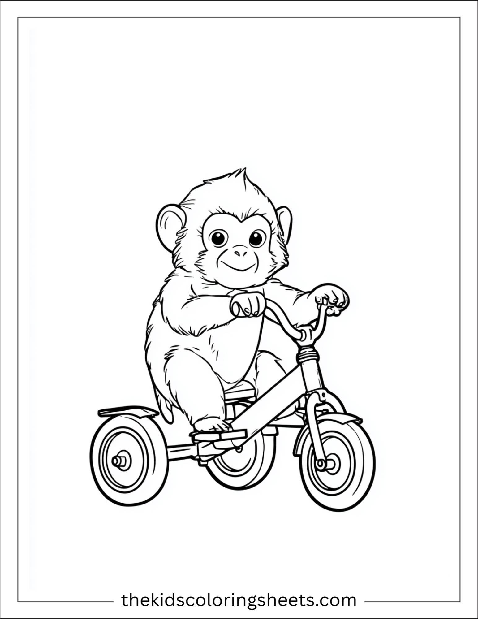 The Monkey riding a tricycle