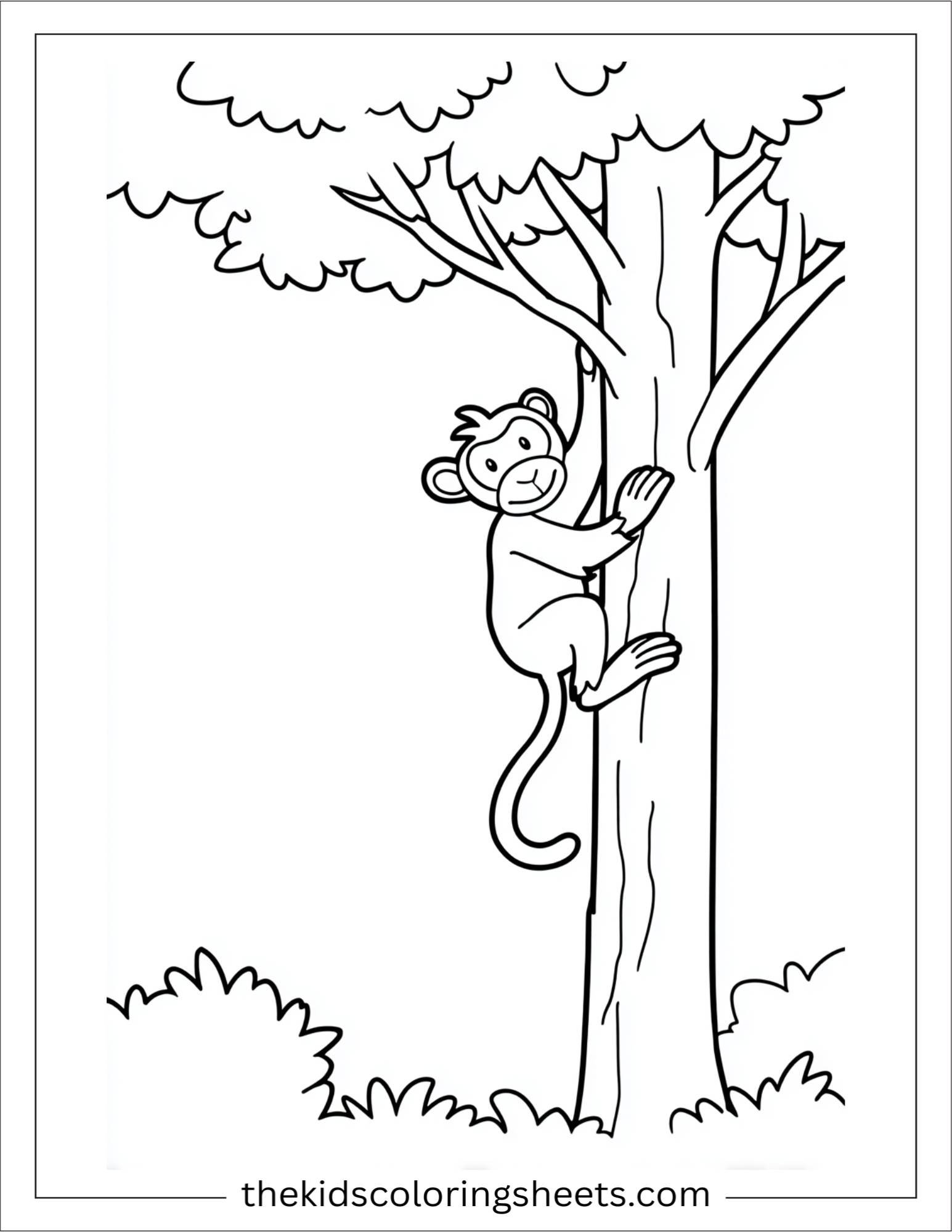 The Monkey swinging from tree