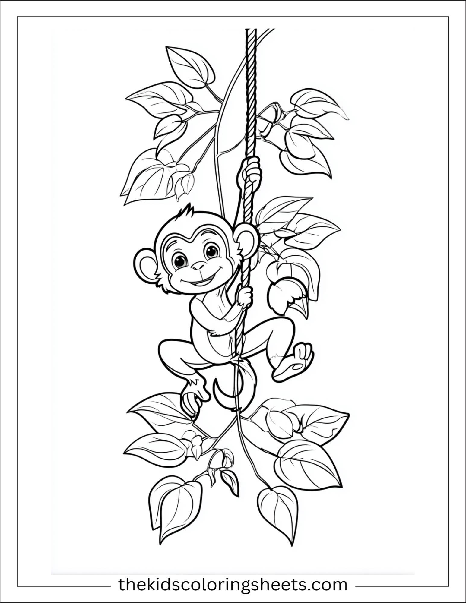 The Monkey swinging on vine