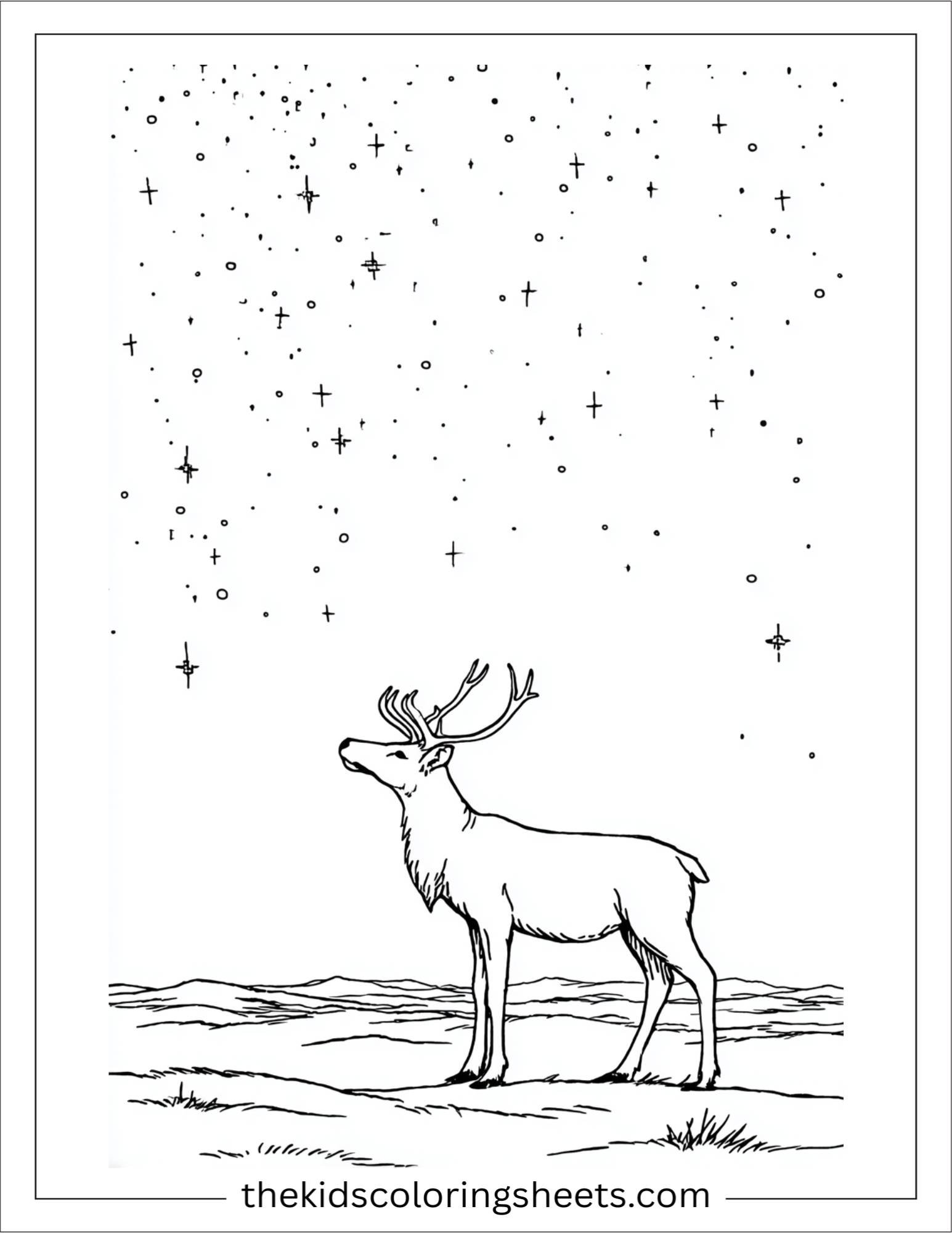 The Reindeer watching the stars