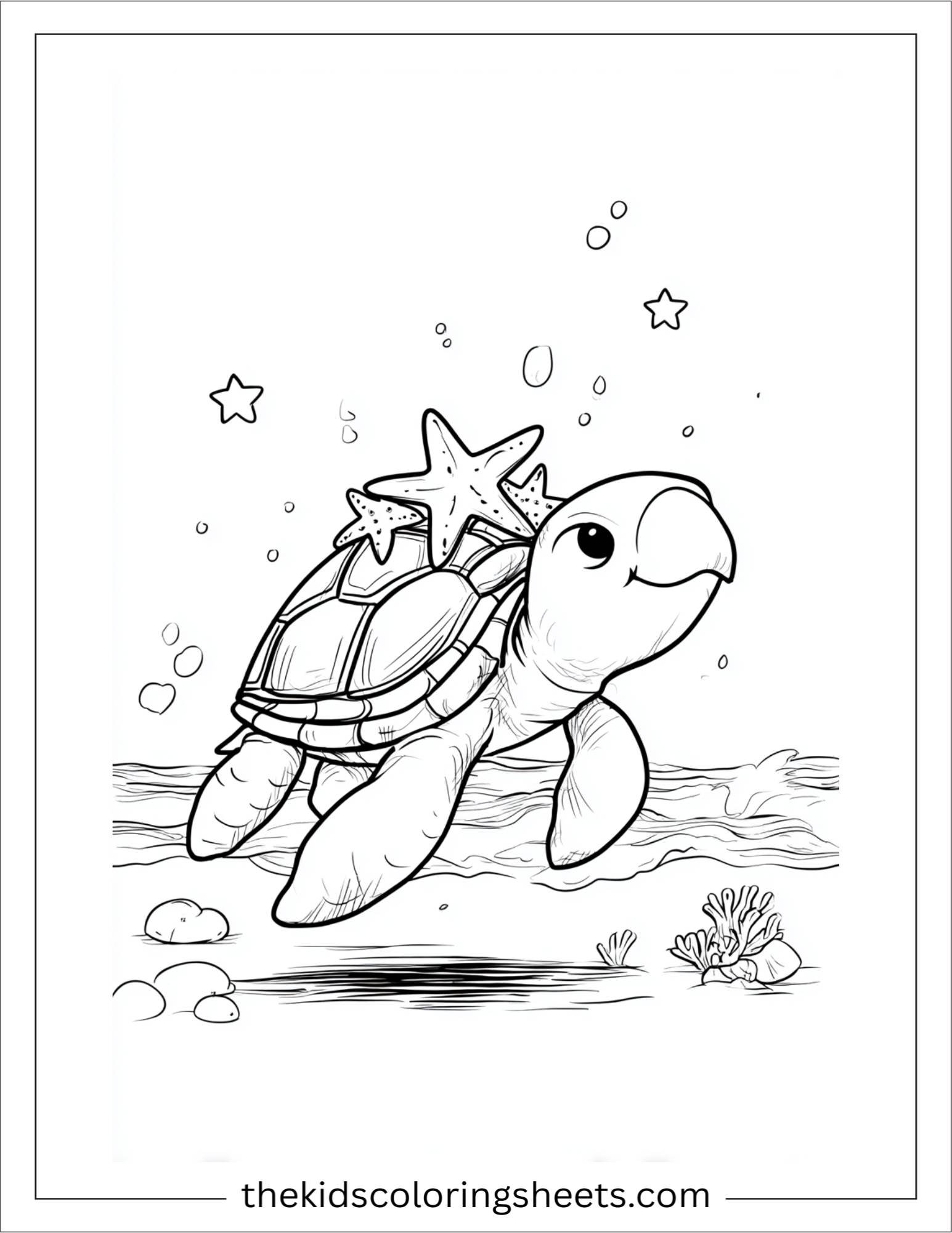 The Sea Turtle carrying starfish on back
