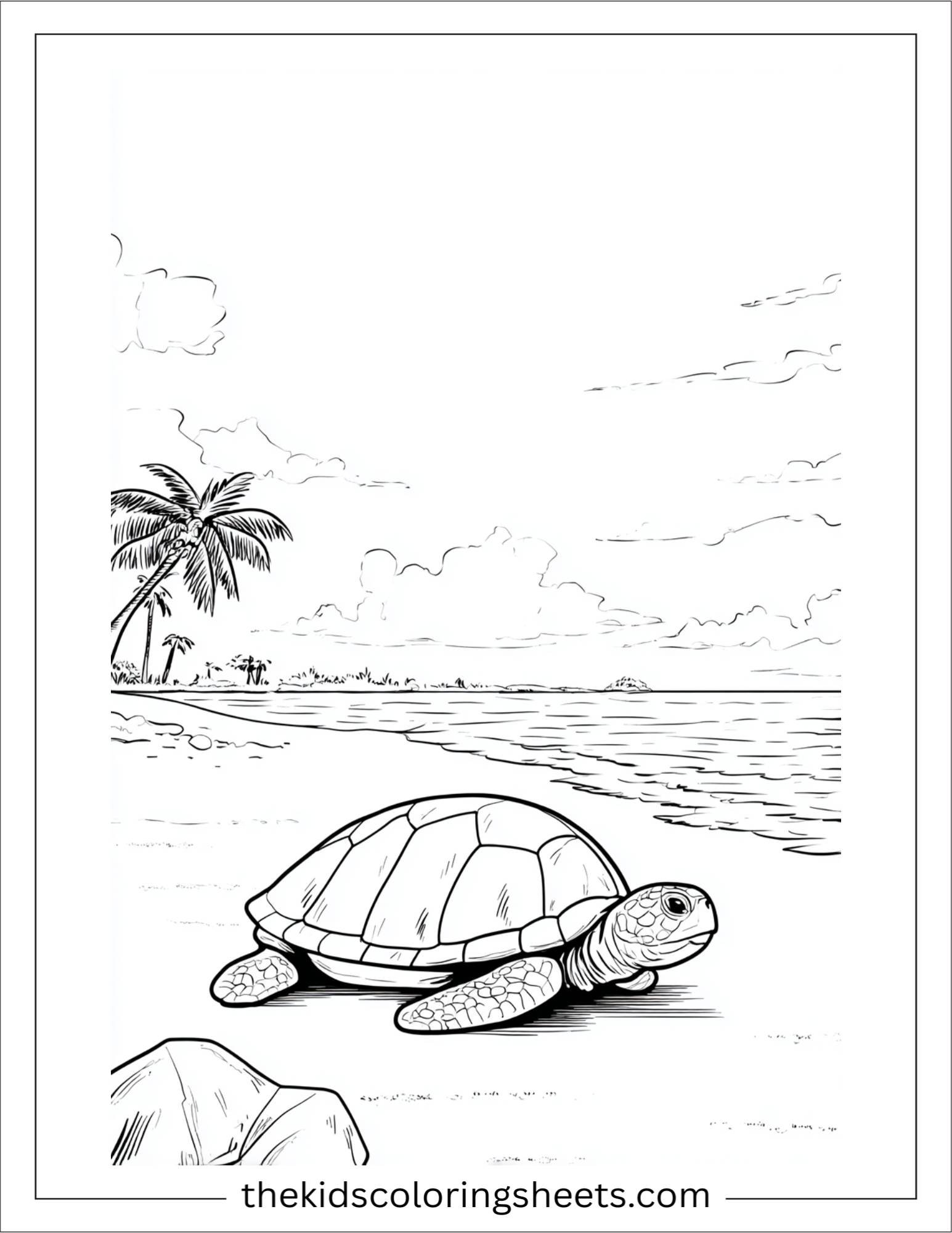 The Sea Turtle crawling on beach