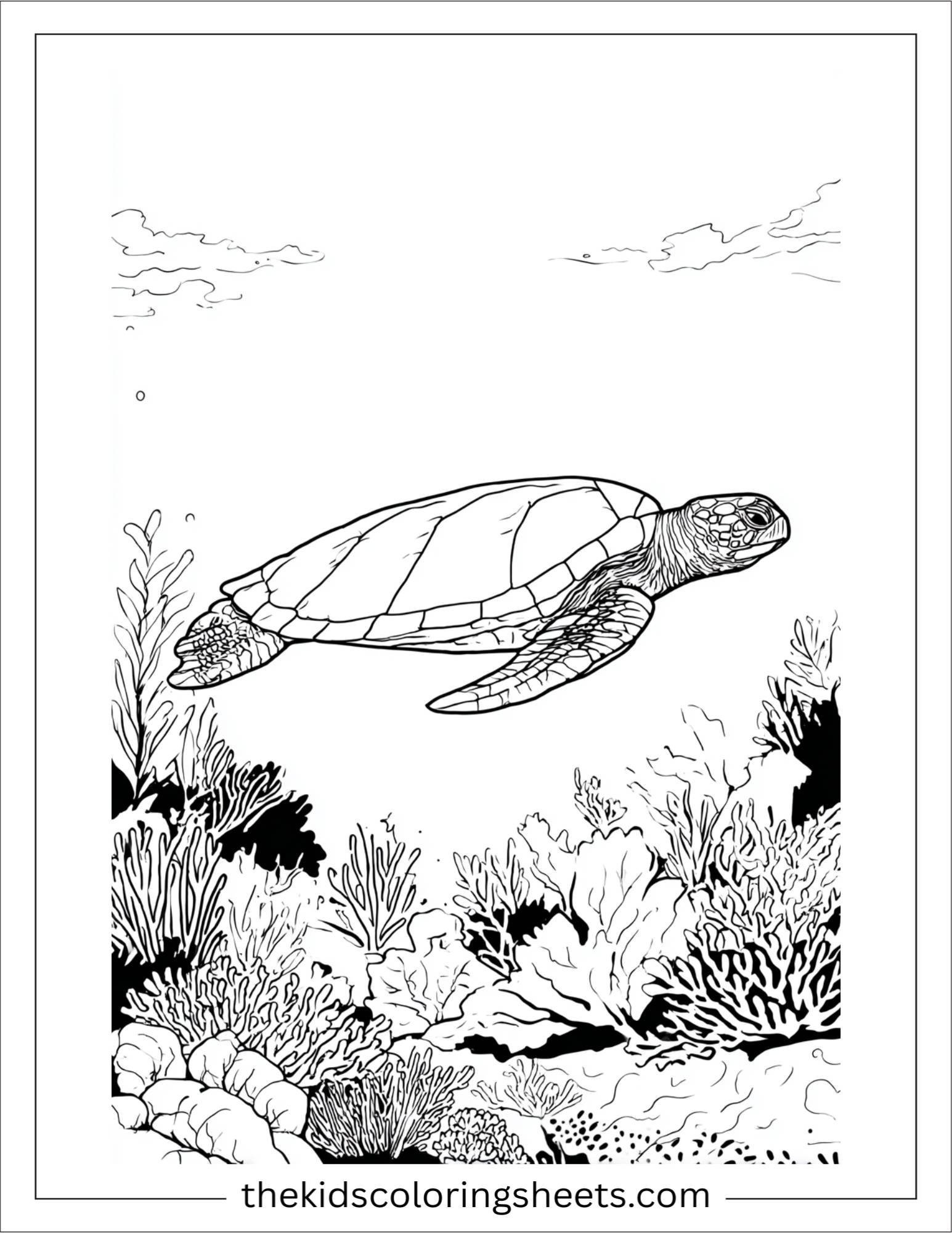 The Sea Turtle gliding through coral reef