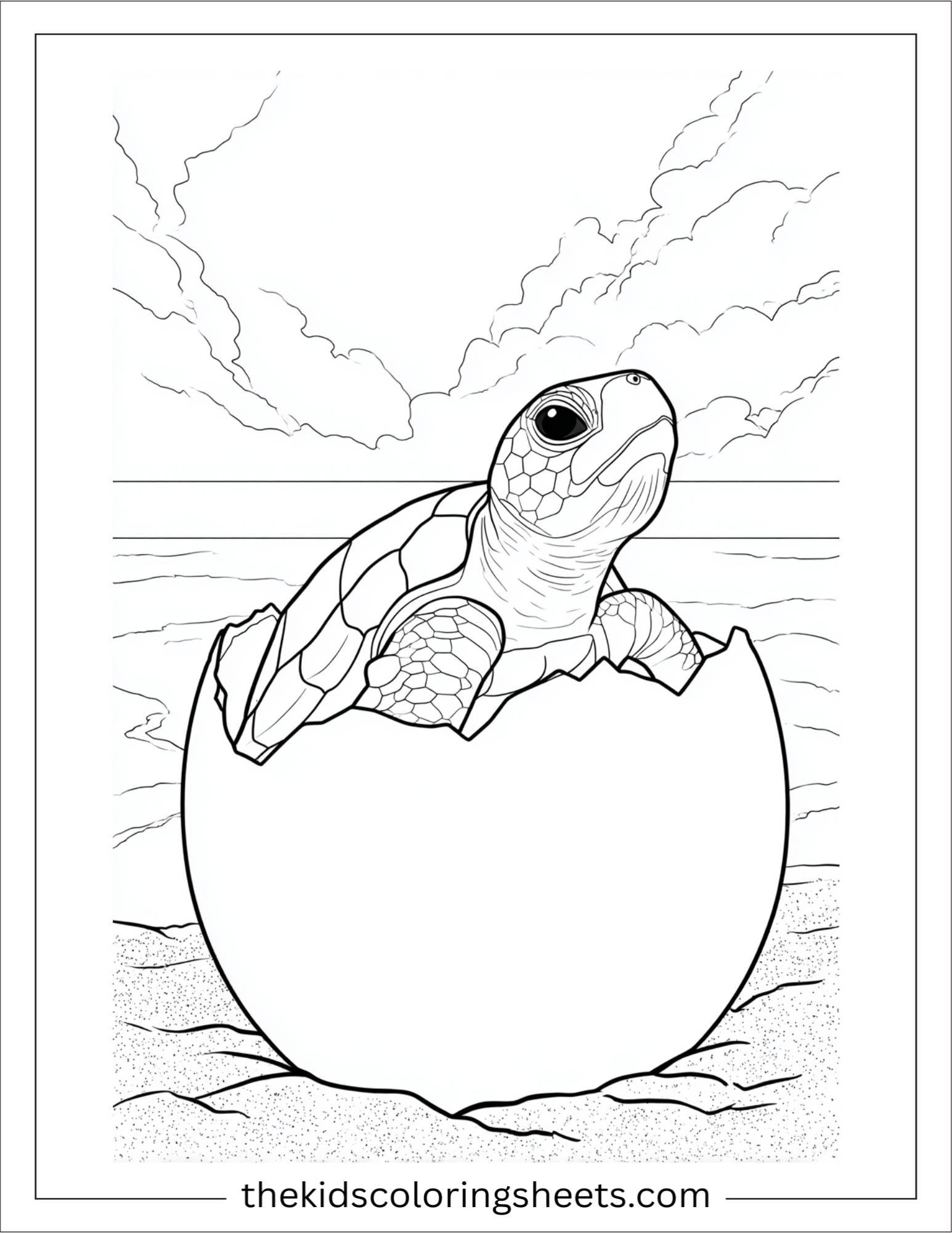 The Sea Turtle hatching from egg