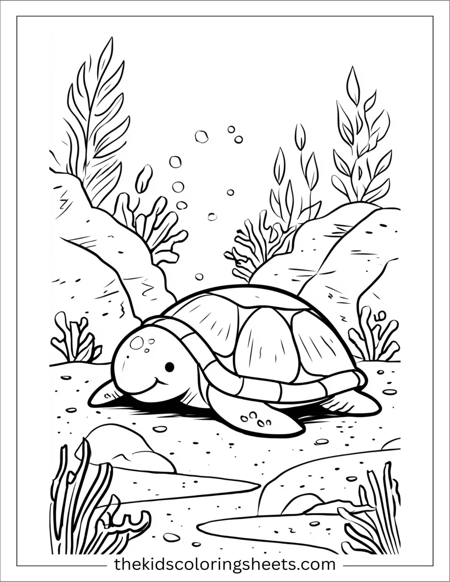 The Sea Turtle hiding in shell