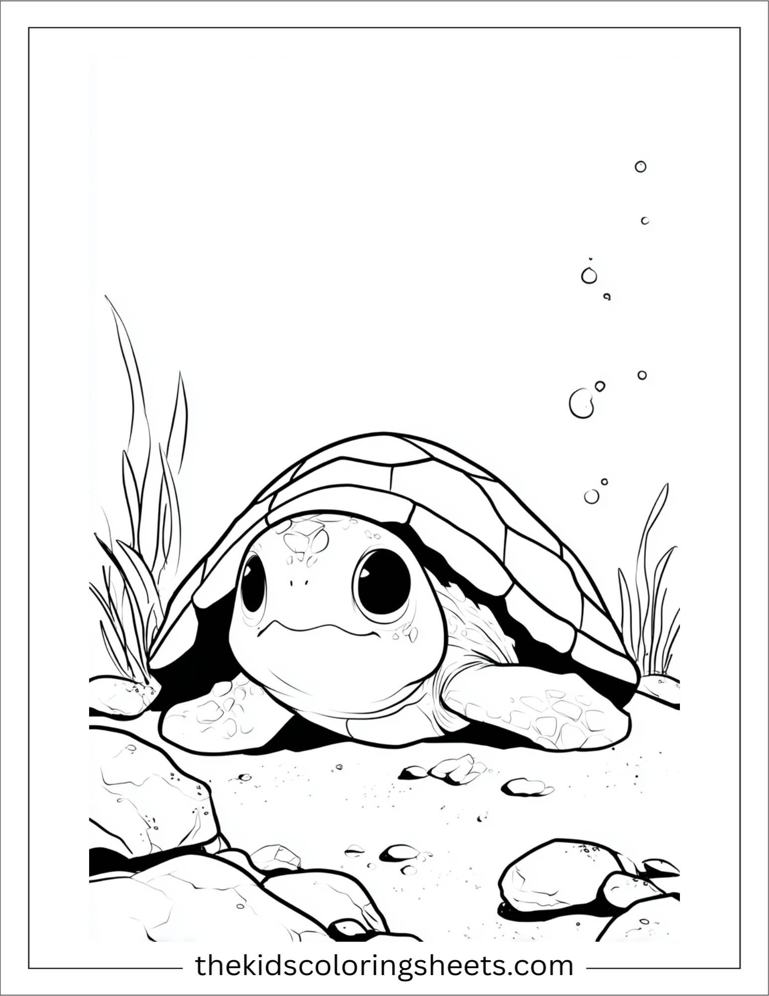 The Sea Turtle peeking from shell