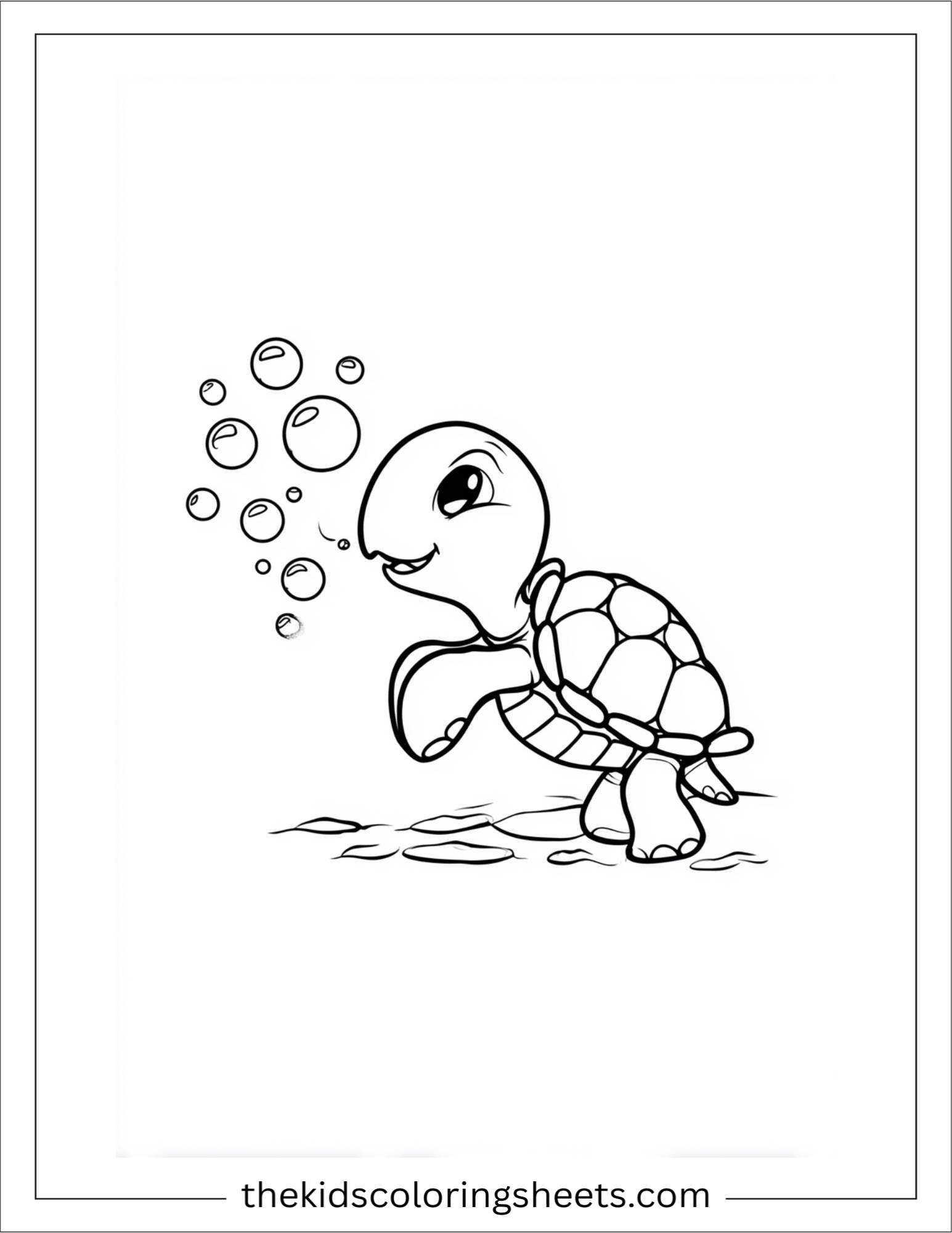 The Sea Turtle playing with bubbles