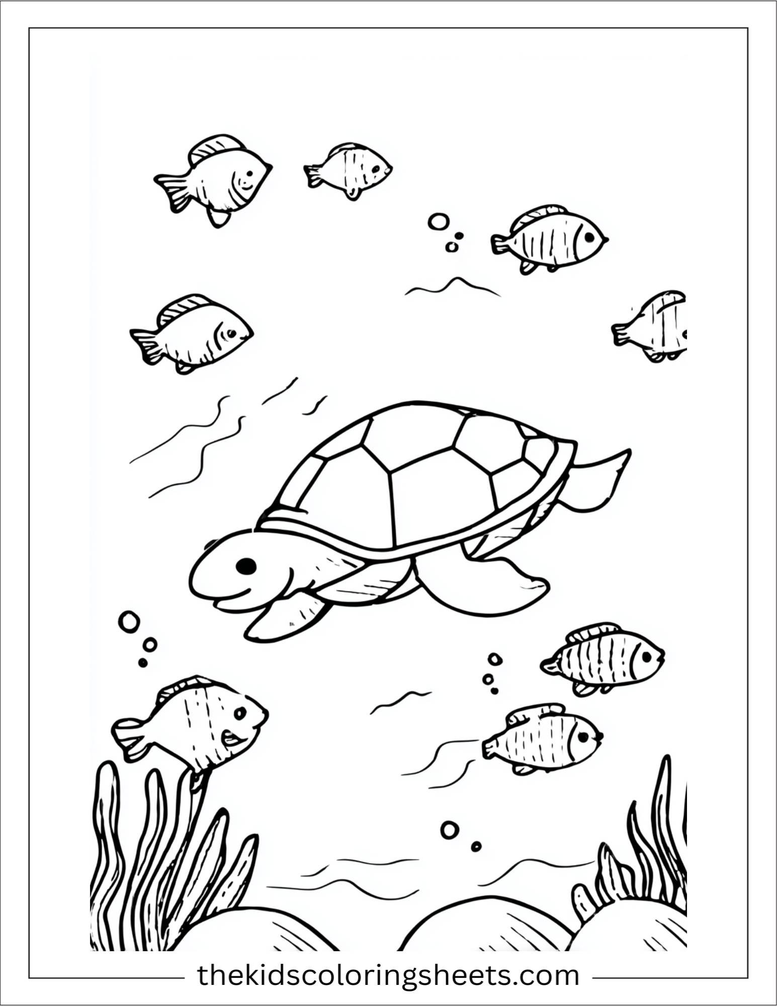 The Sea Turtle playing with fish