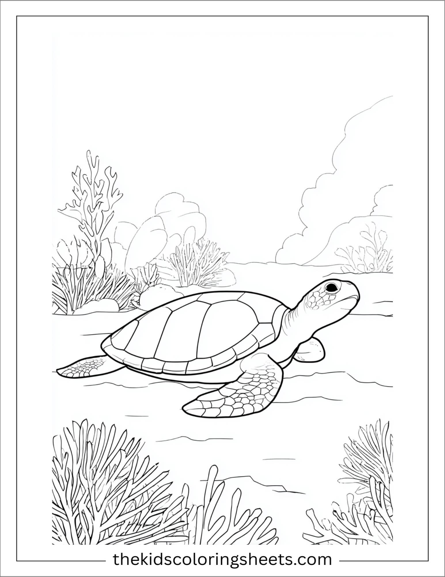 The Sea Turtle resting on seabed