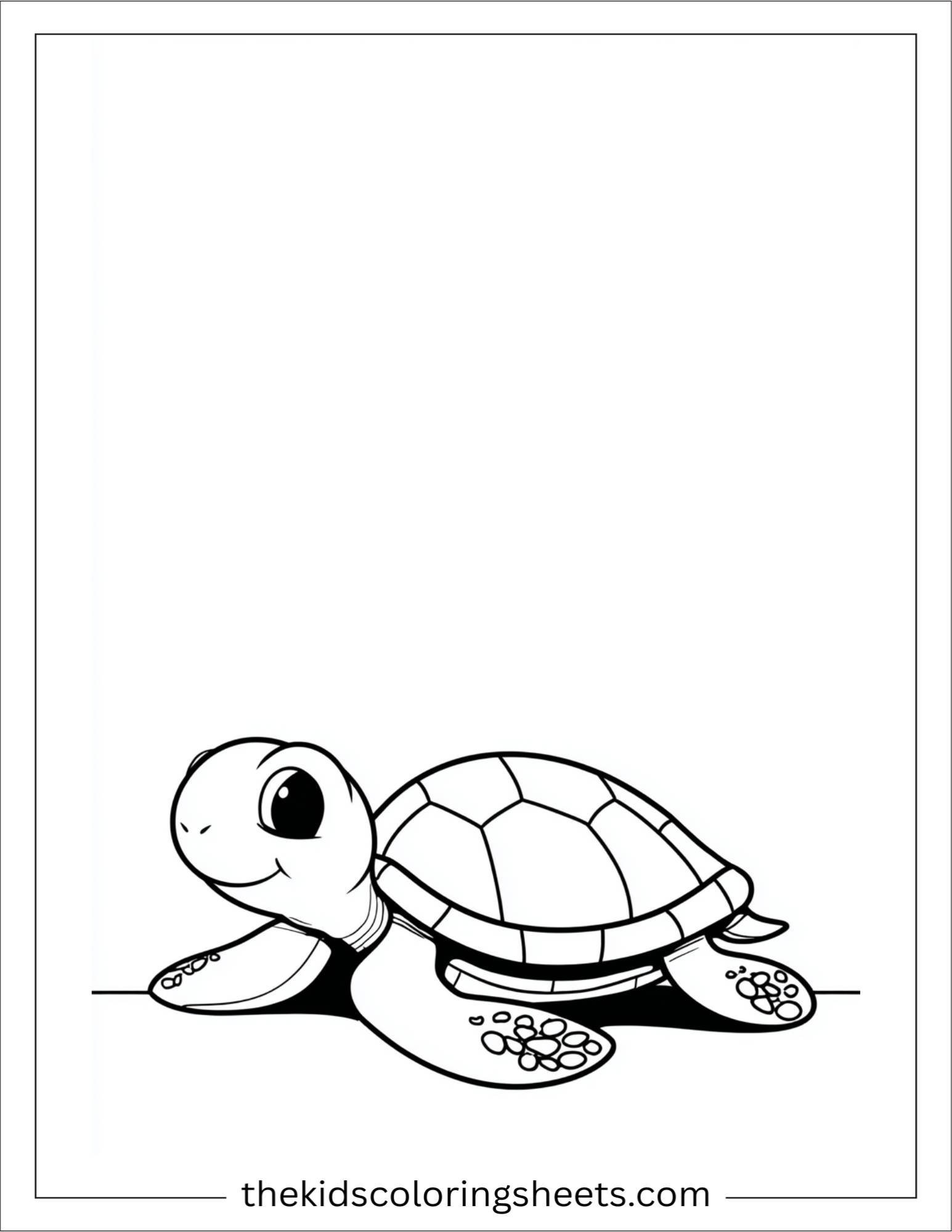 The Sea Turtle smiling gently