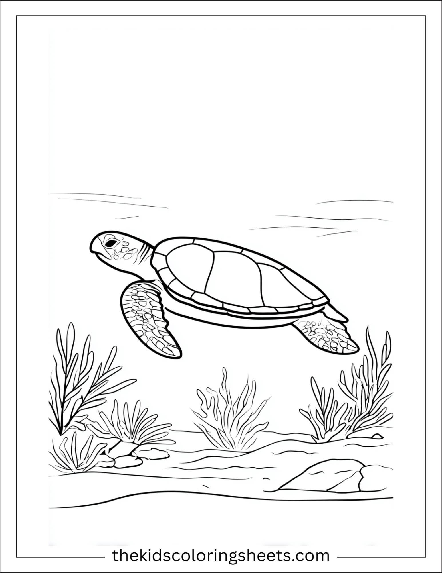 The Sea Turtle swimming peacefully