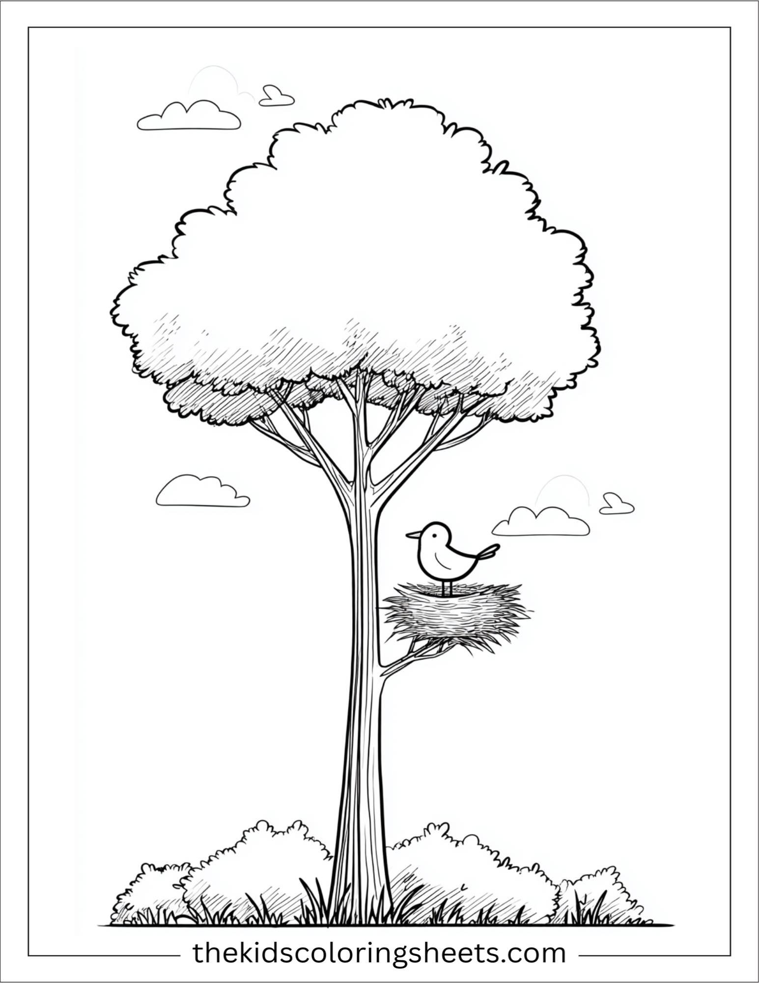 The Tall Tree holding a bird nest