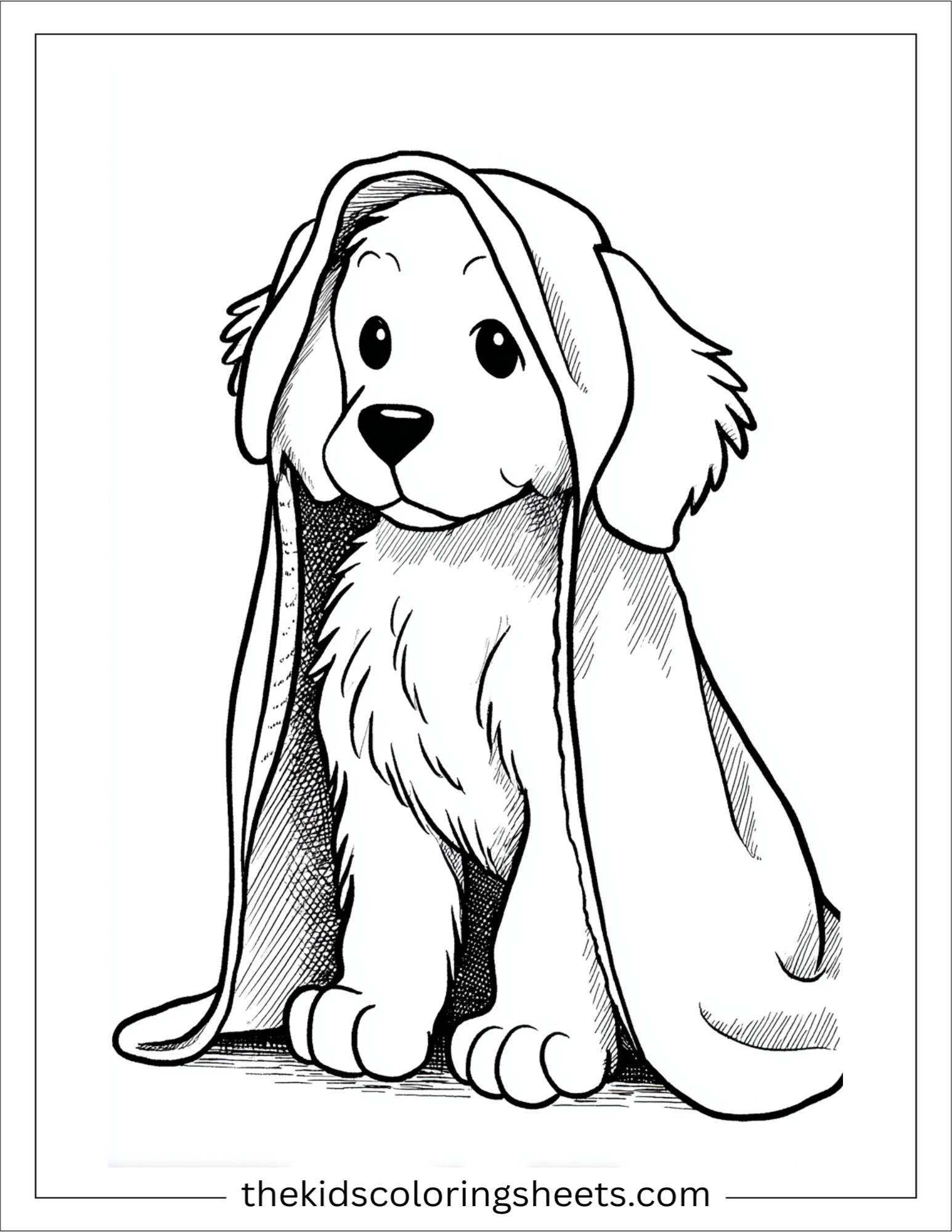 Caring dog drying with towel