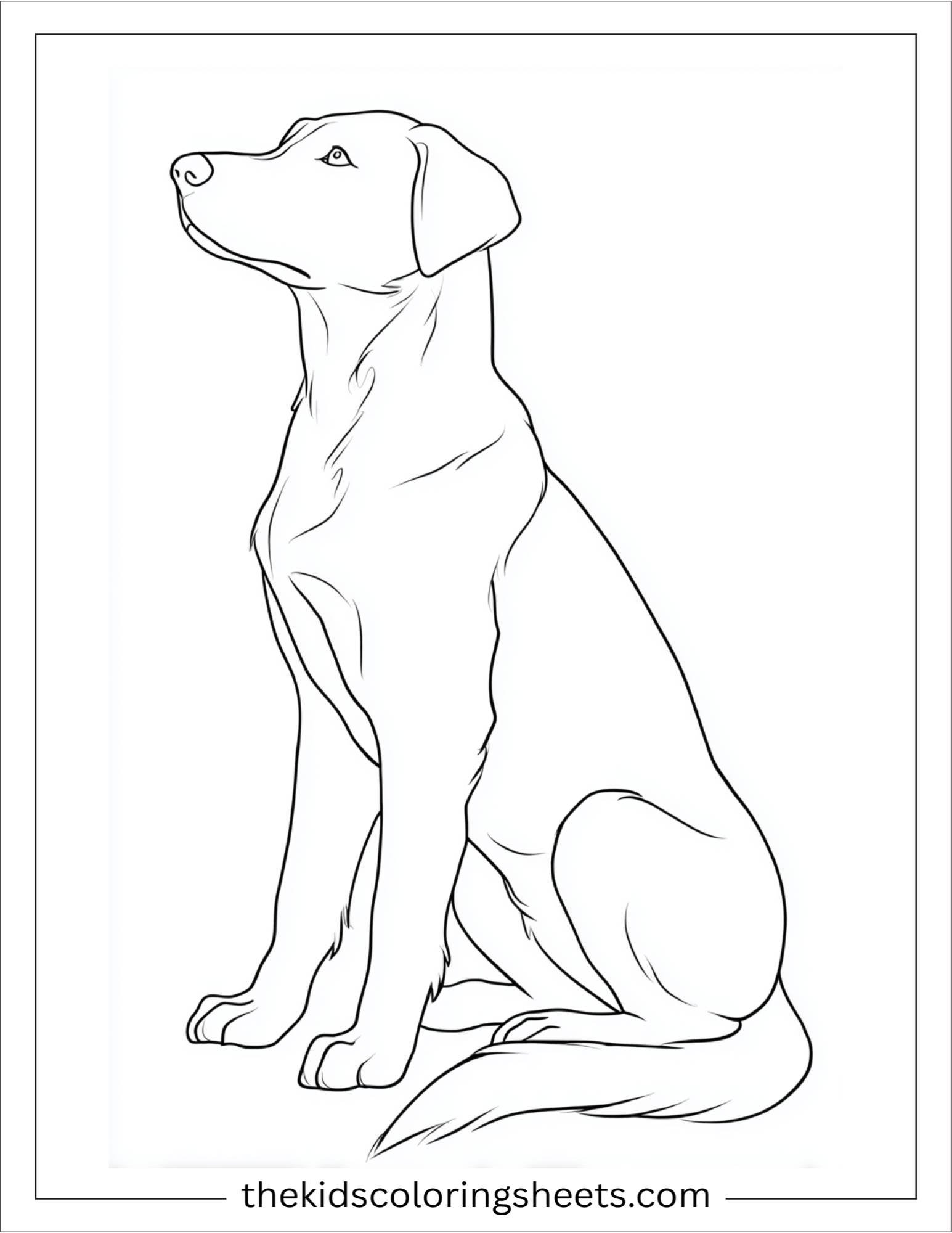 Caring dog sitting patiently