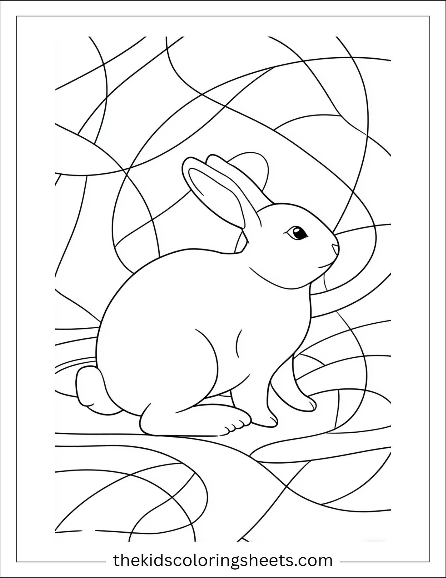 Intelligent rabbit solving a puzzle