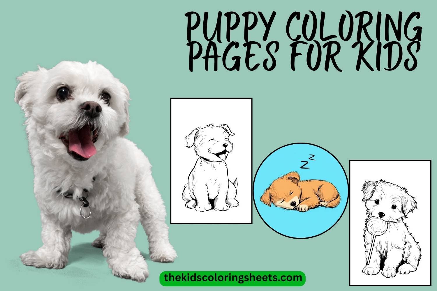 puppy coloring pages for kids