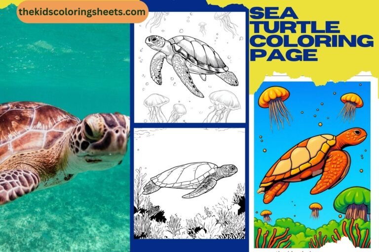 sea turtle coloring page