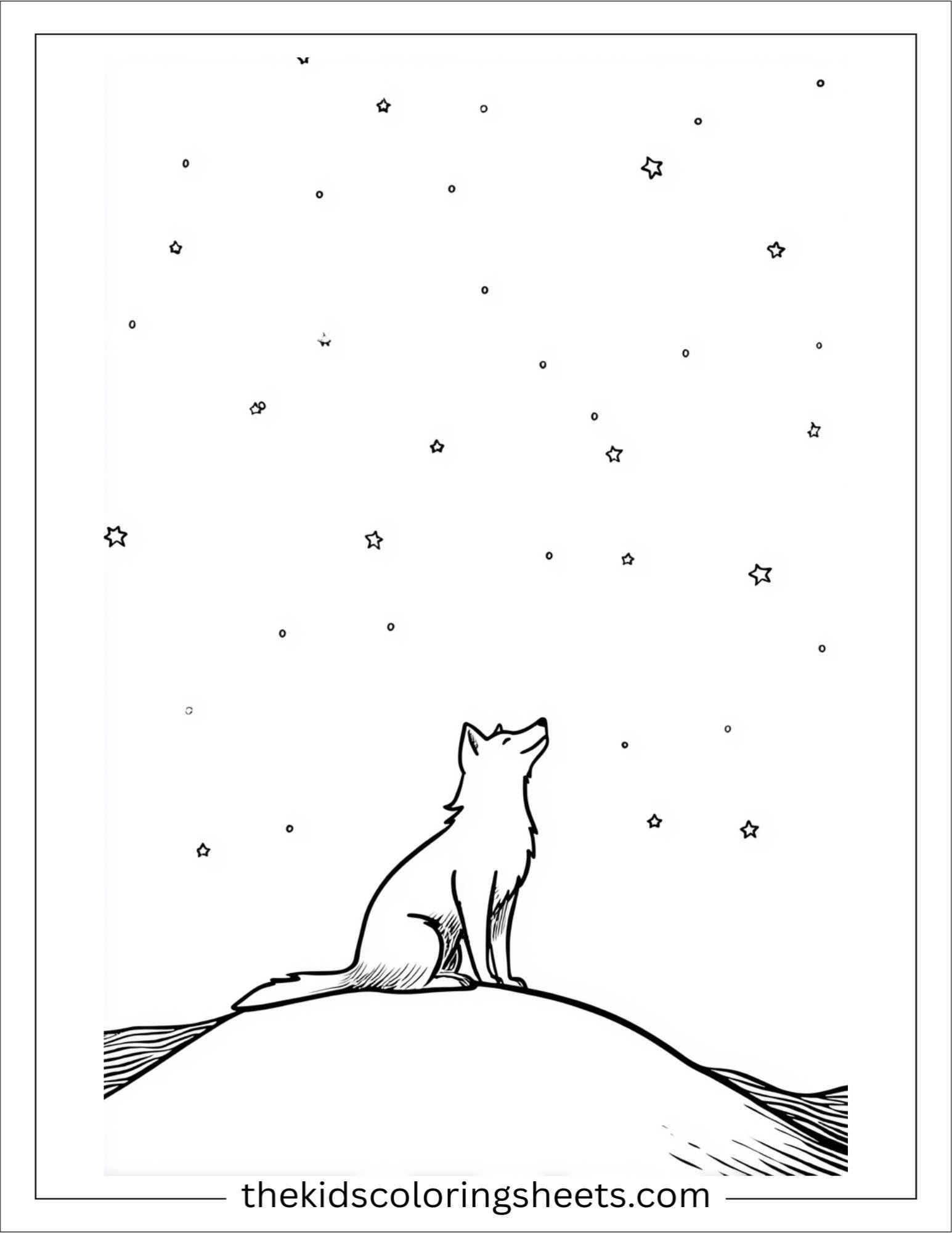 The clever fox watching stars