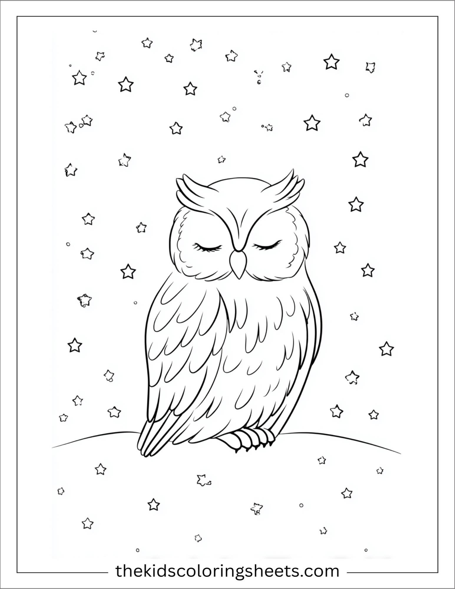 The wise owl dreaming under stars