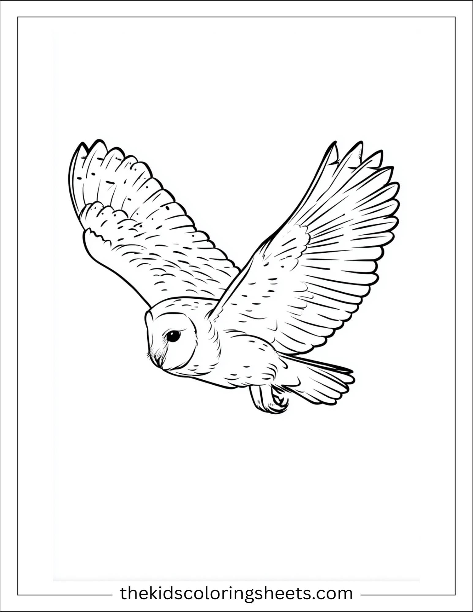 The wise owl flying gently