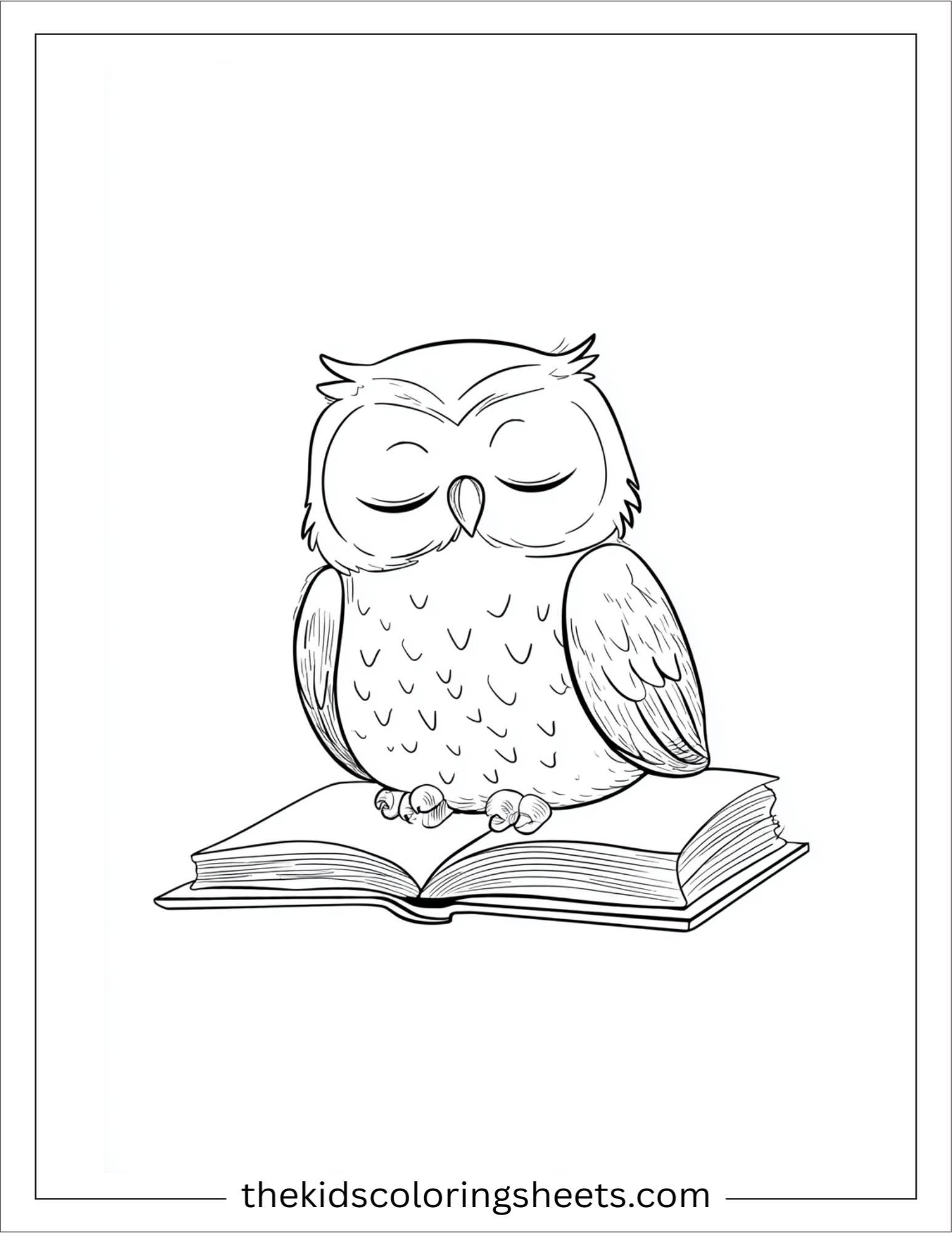 The wise owl sleeping with book